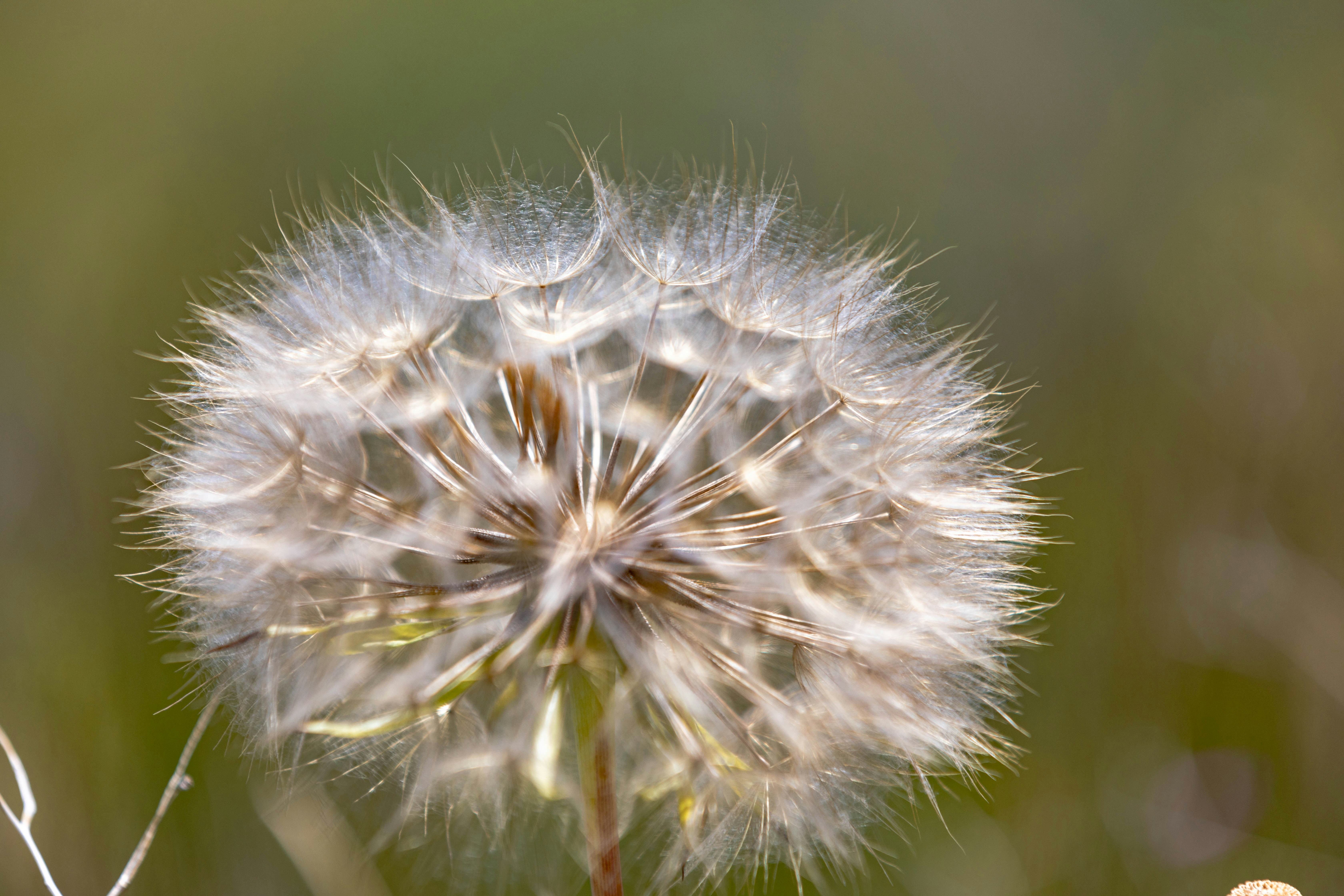 Photo by ovidiugruescu