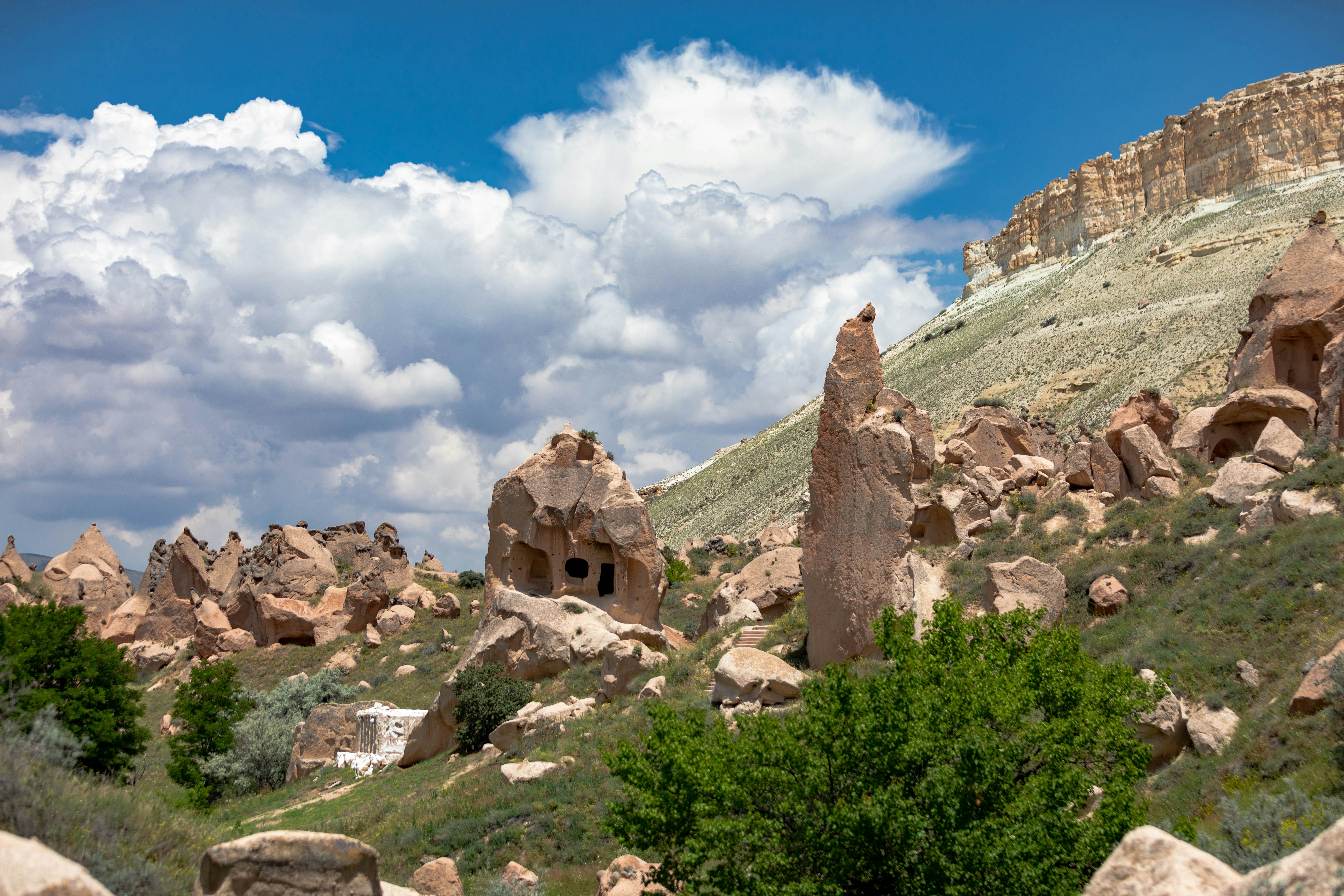 Photo by ovidiugruescu