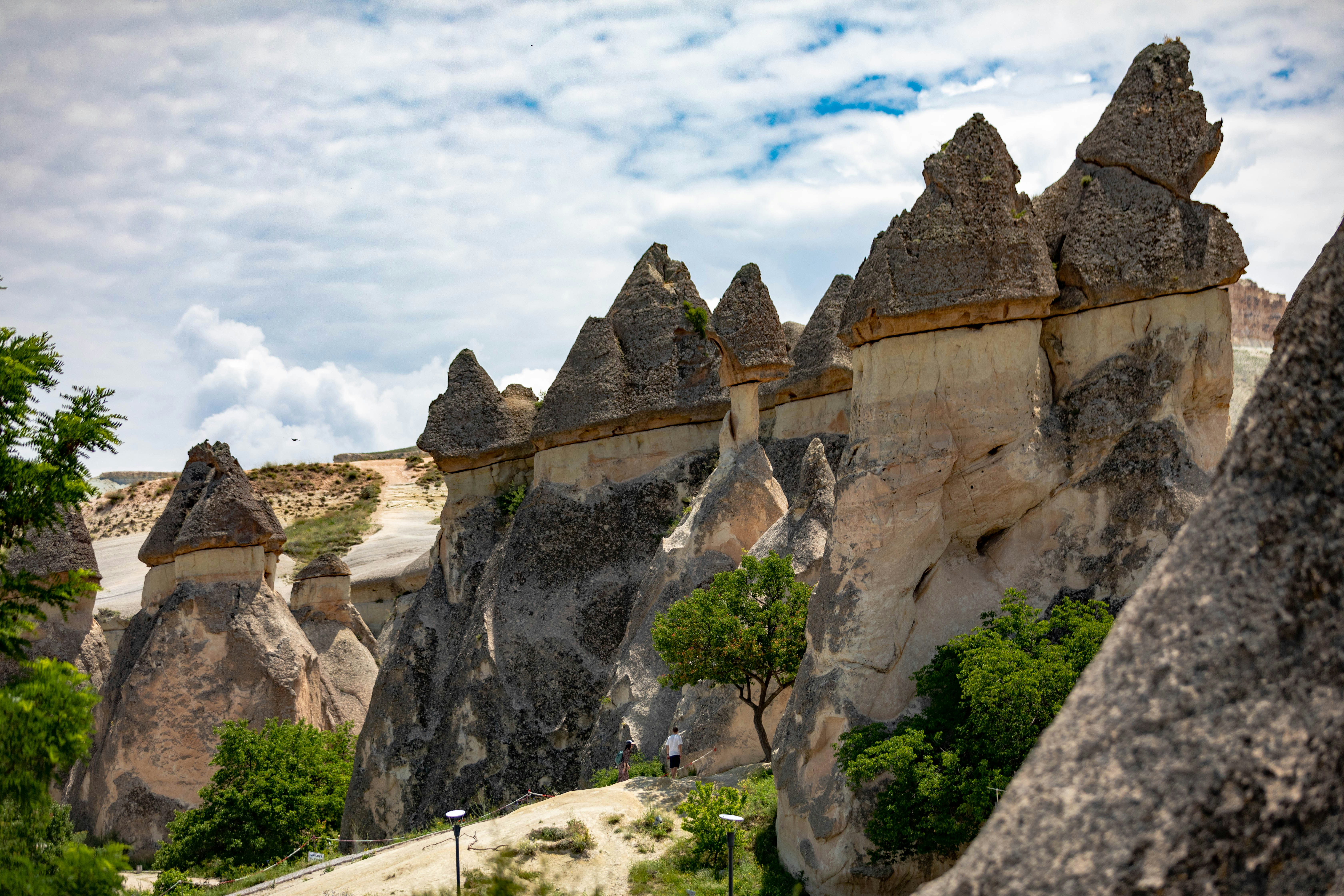 Photo by ovidiugruescu