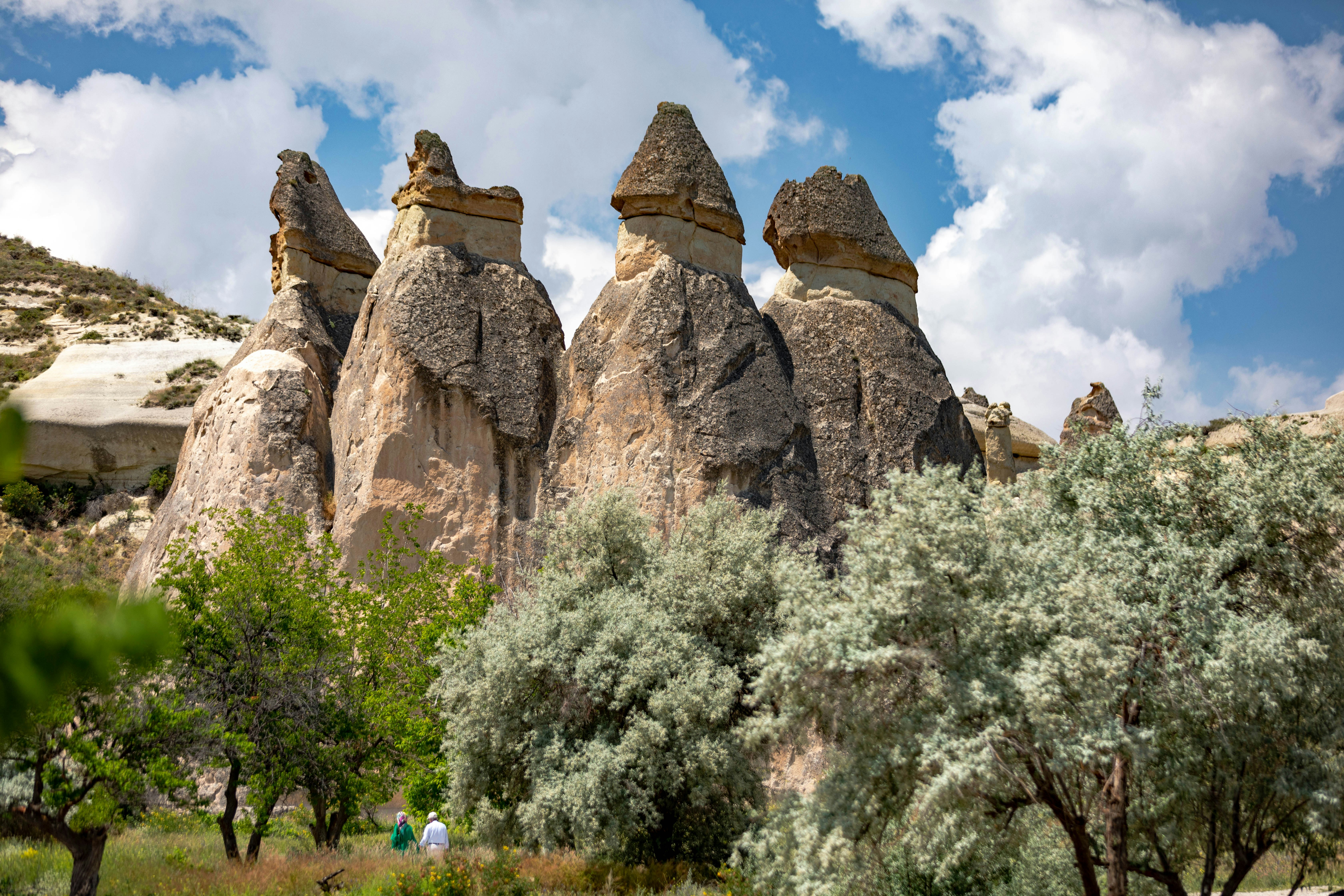 Photo by ovidiugruescu