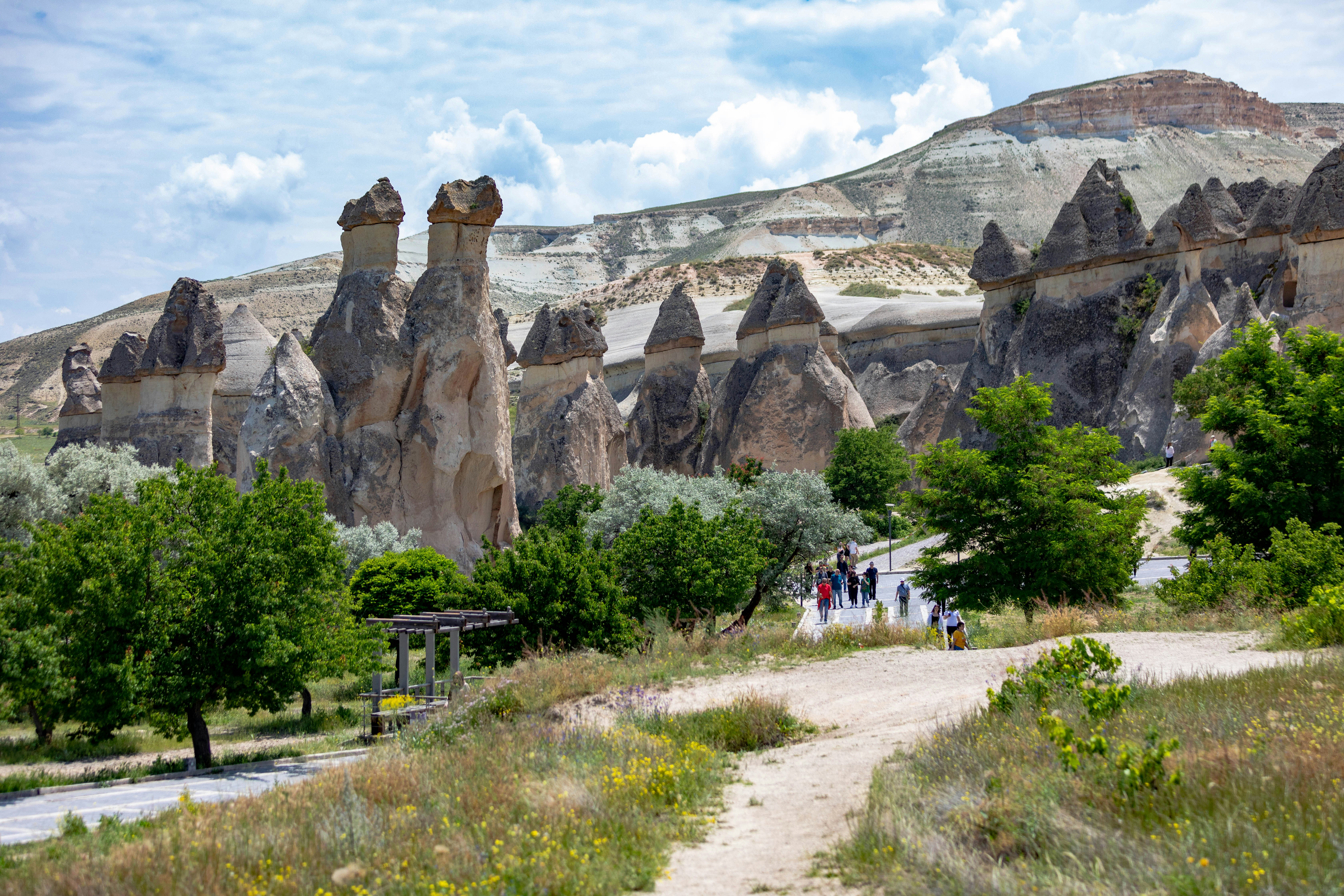 Photo by ovidiugruescu