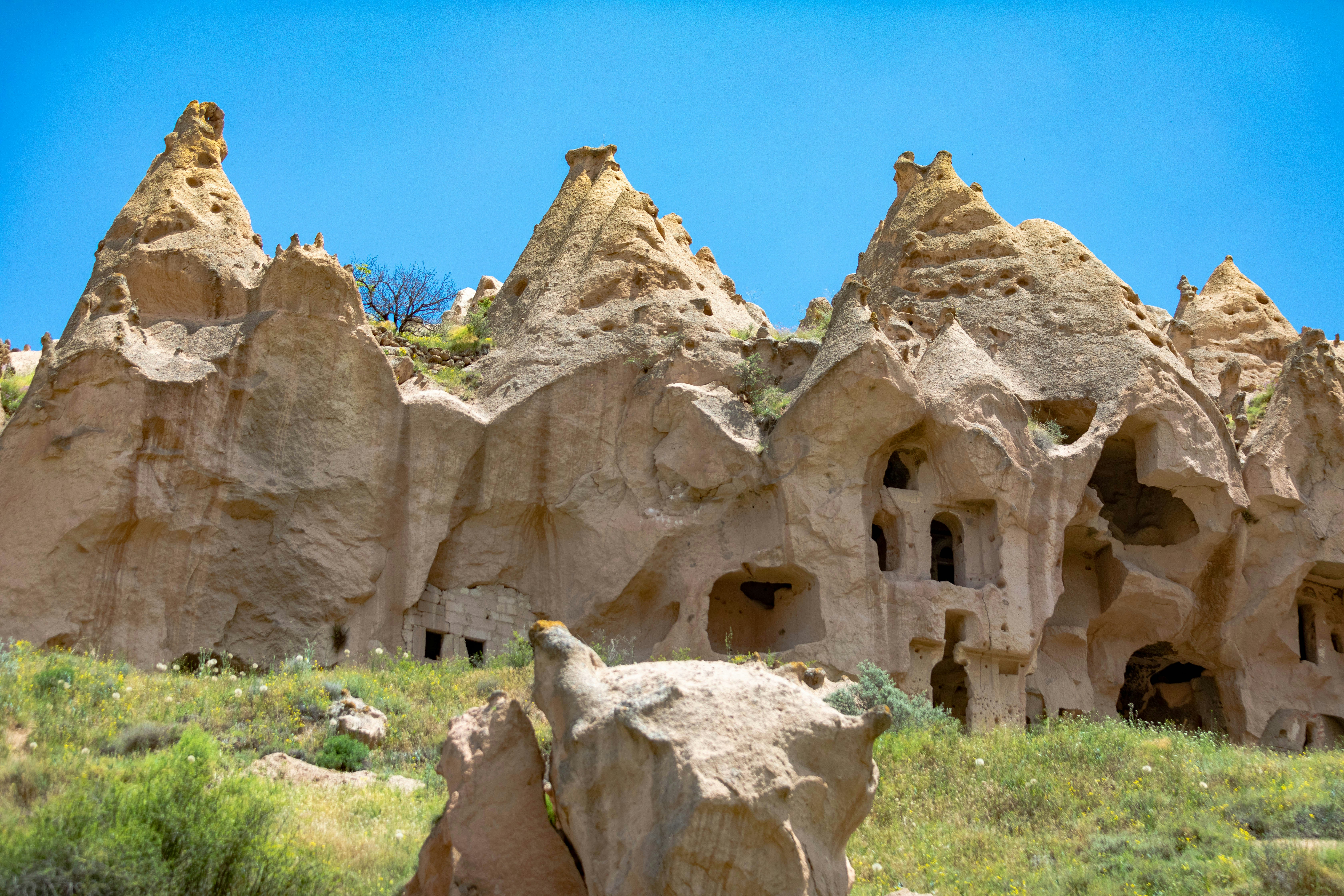 Photo by ovidiugruescu