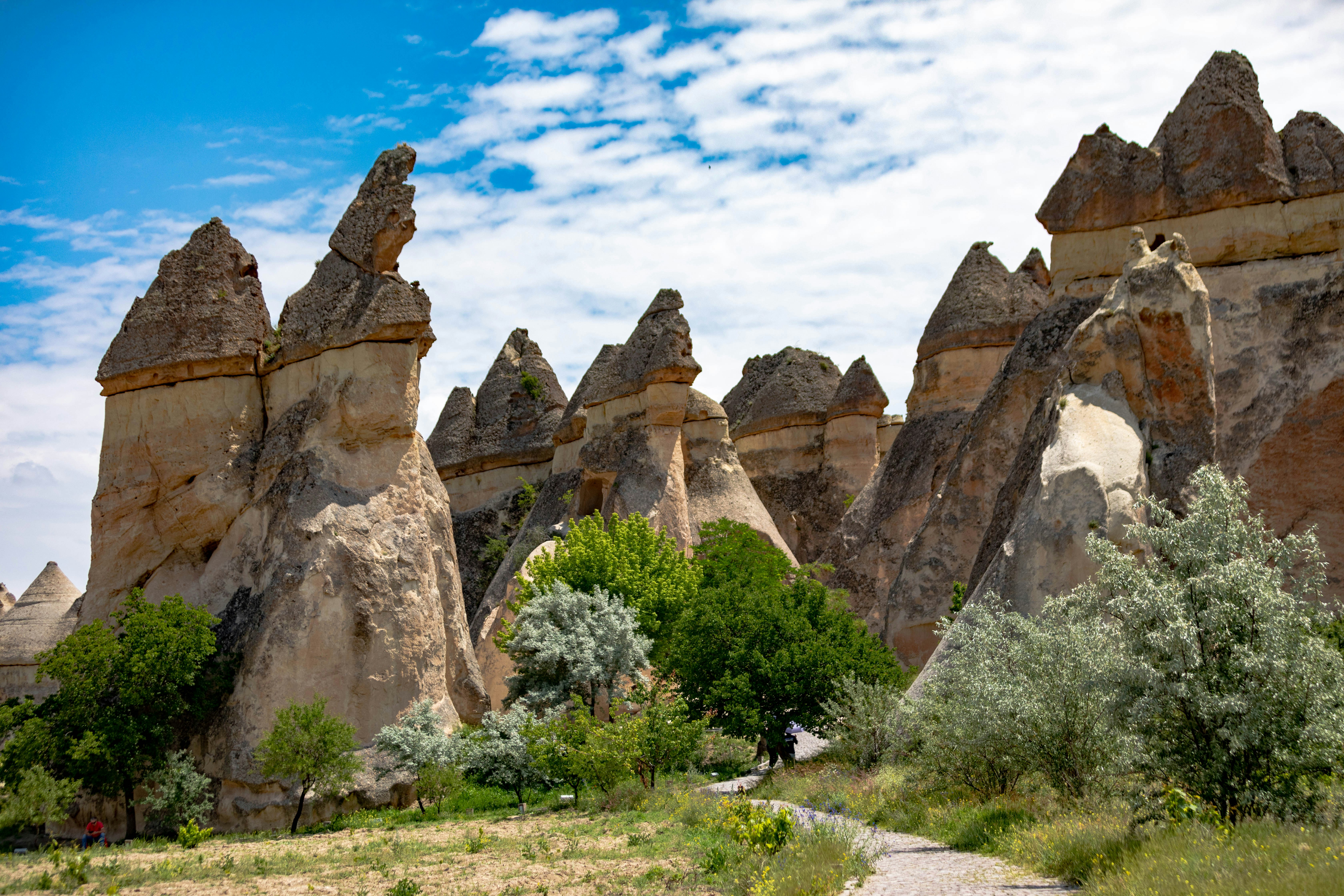 Photo by ovidiugruescu