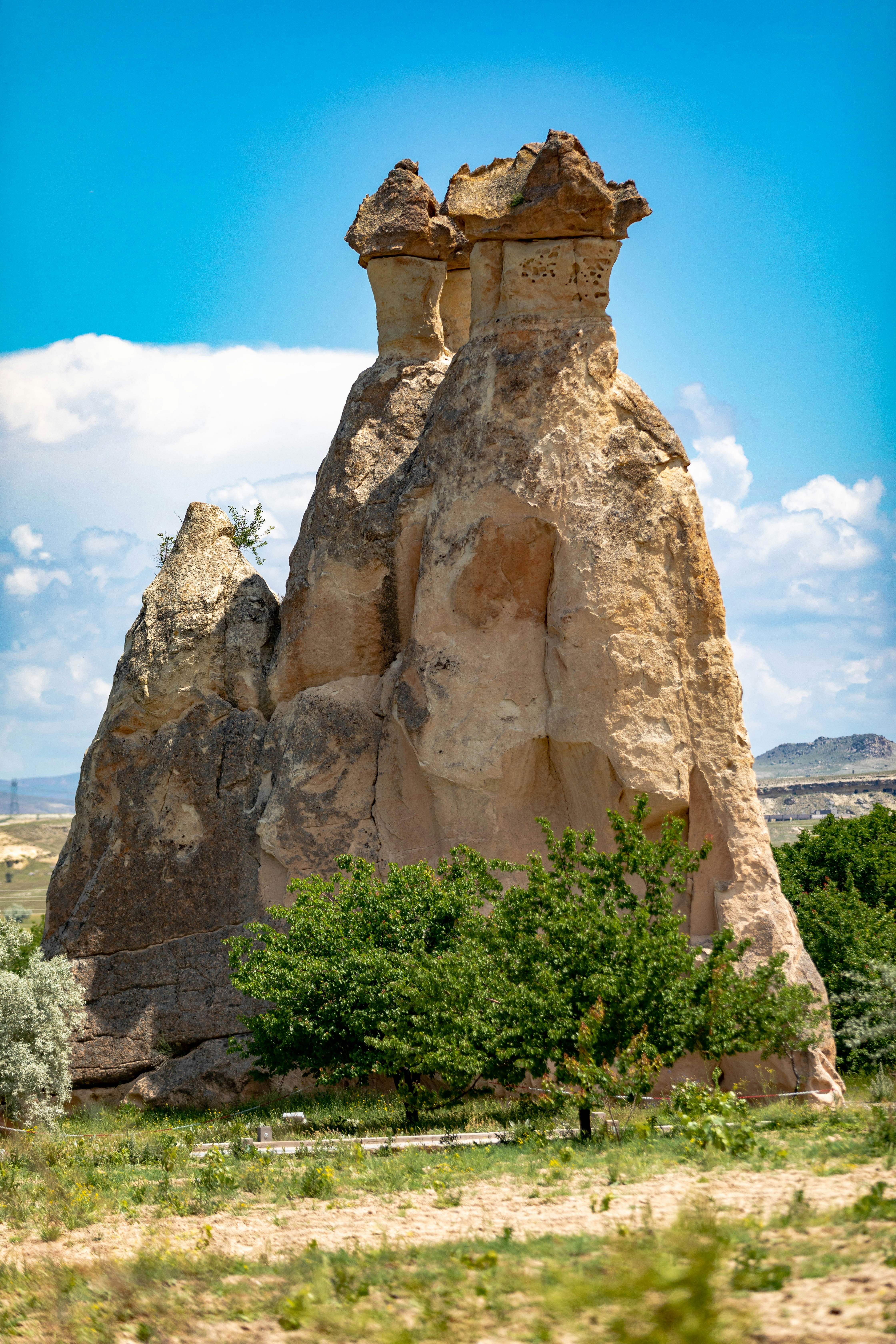 Photo by ovidiugruescu