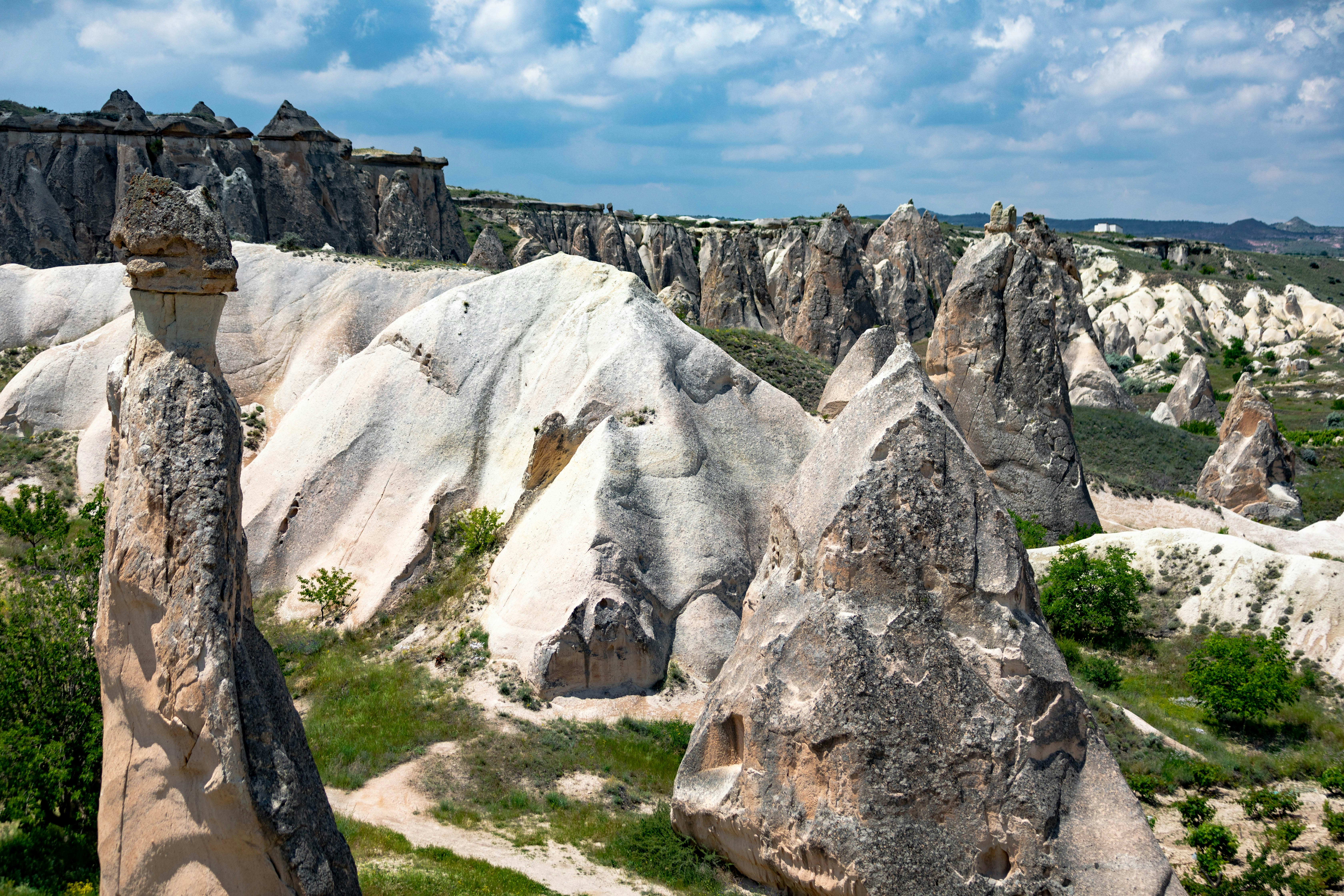 Photo by ovidiugruescu