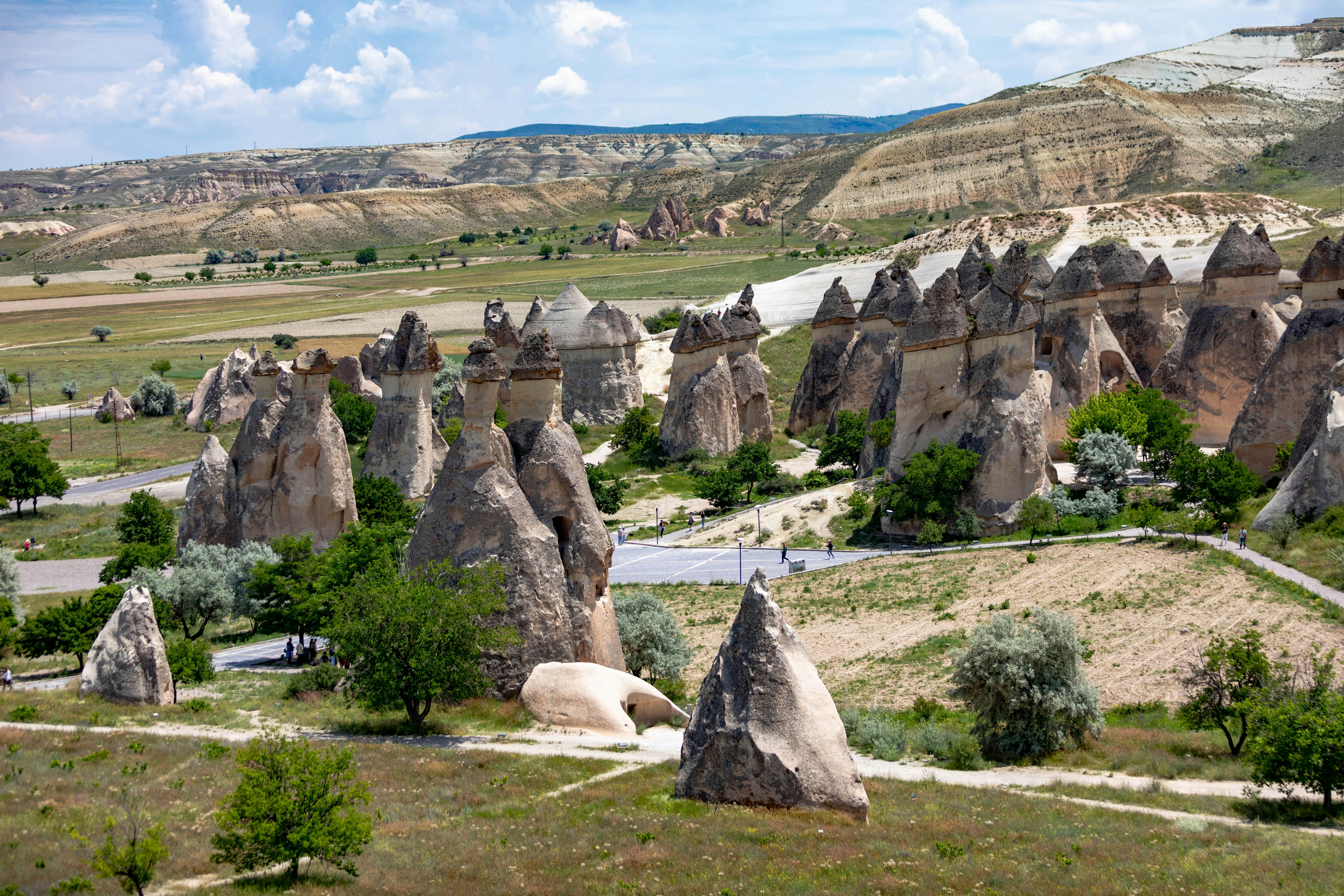 Photo by ovidiugruescu