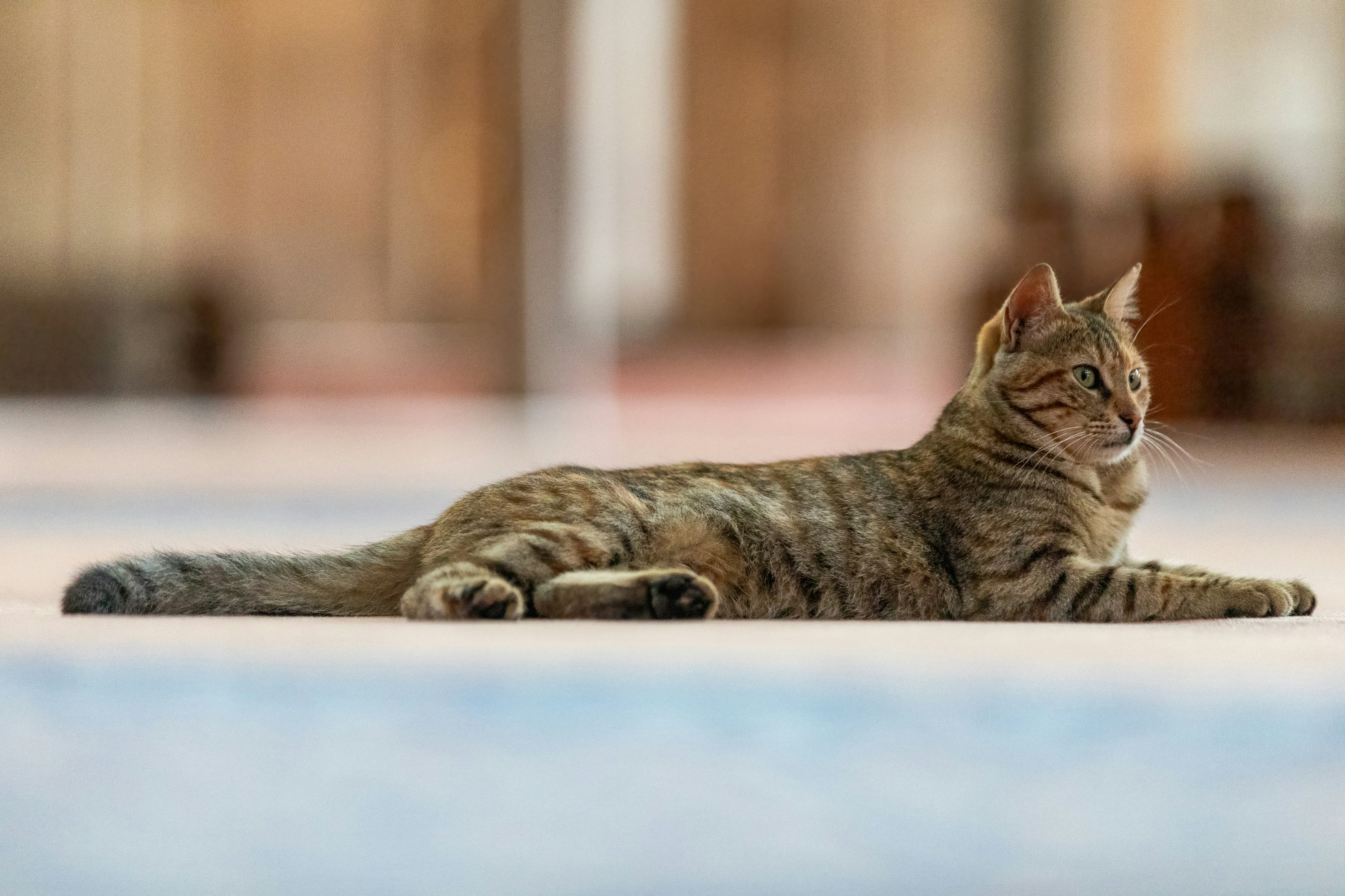 Photo by ovidiugruescu