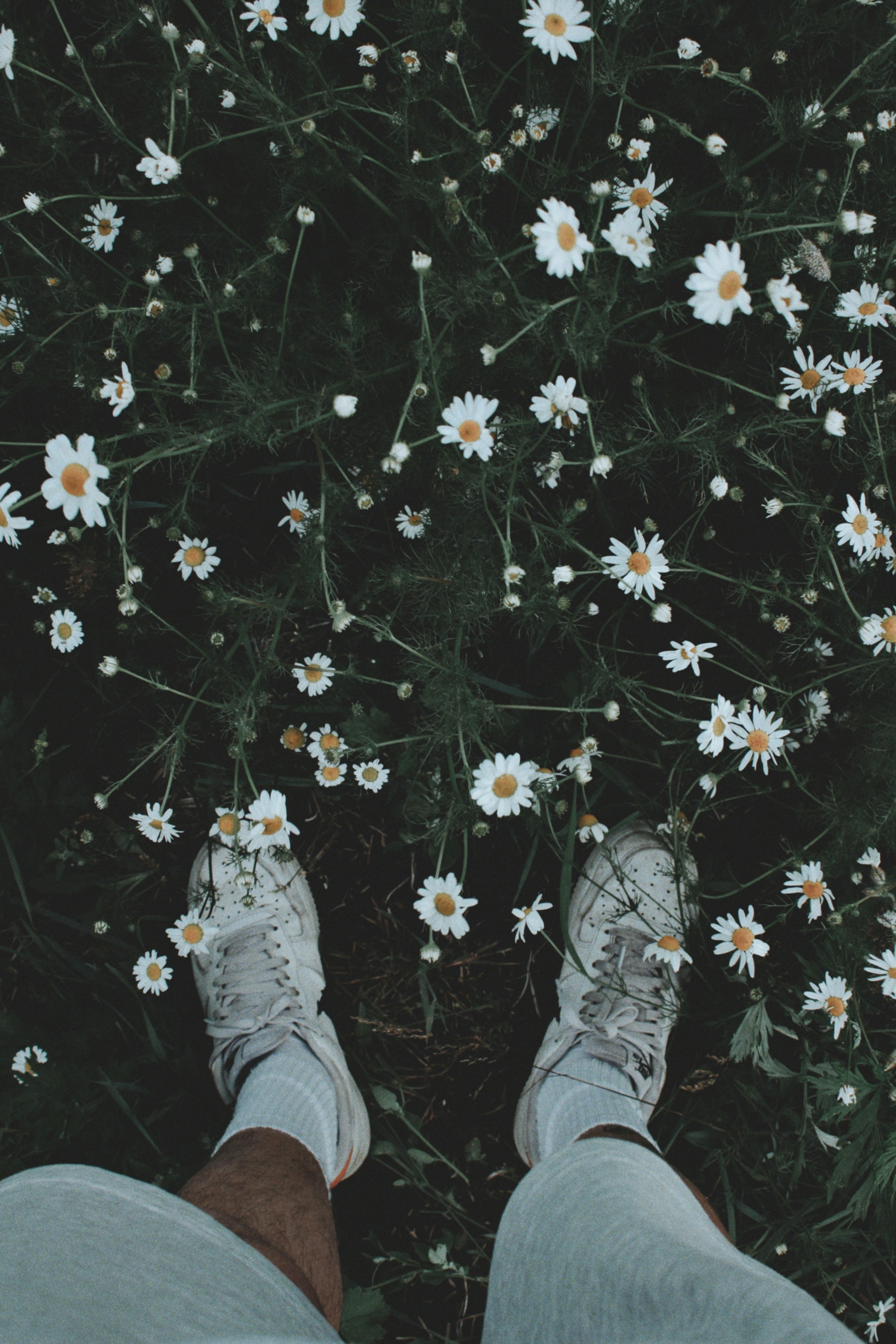 Photo by maximyuryshev