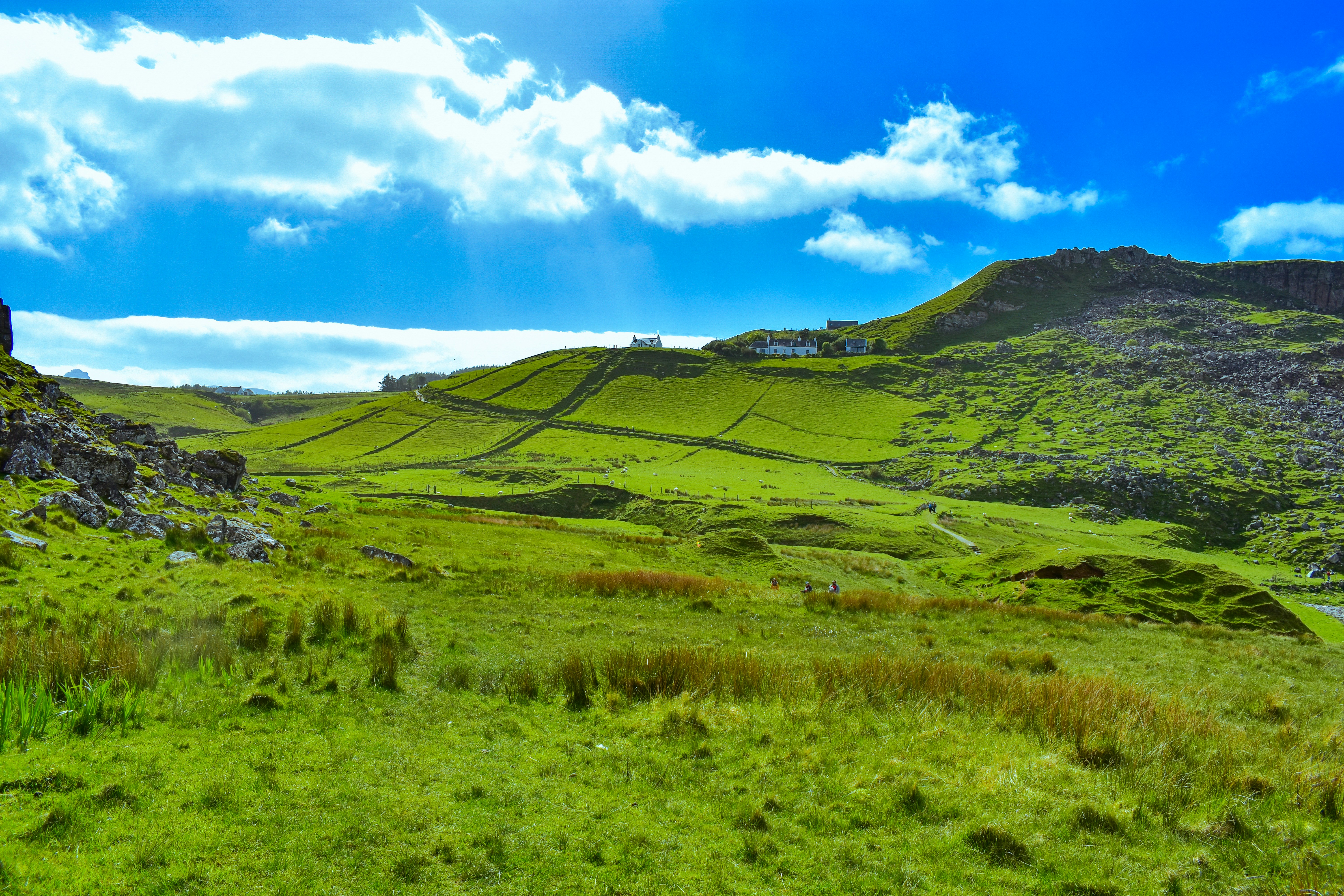 Photo by vergmeister