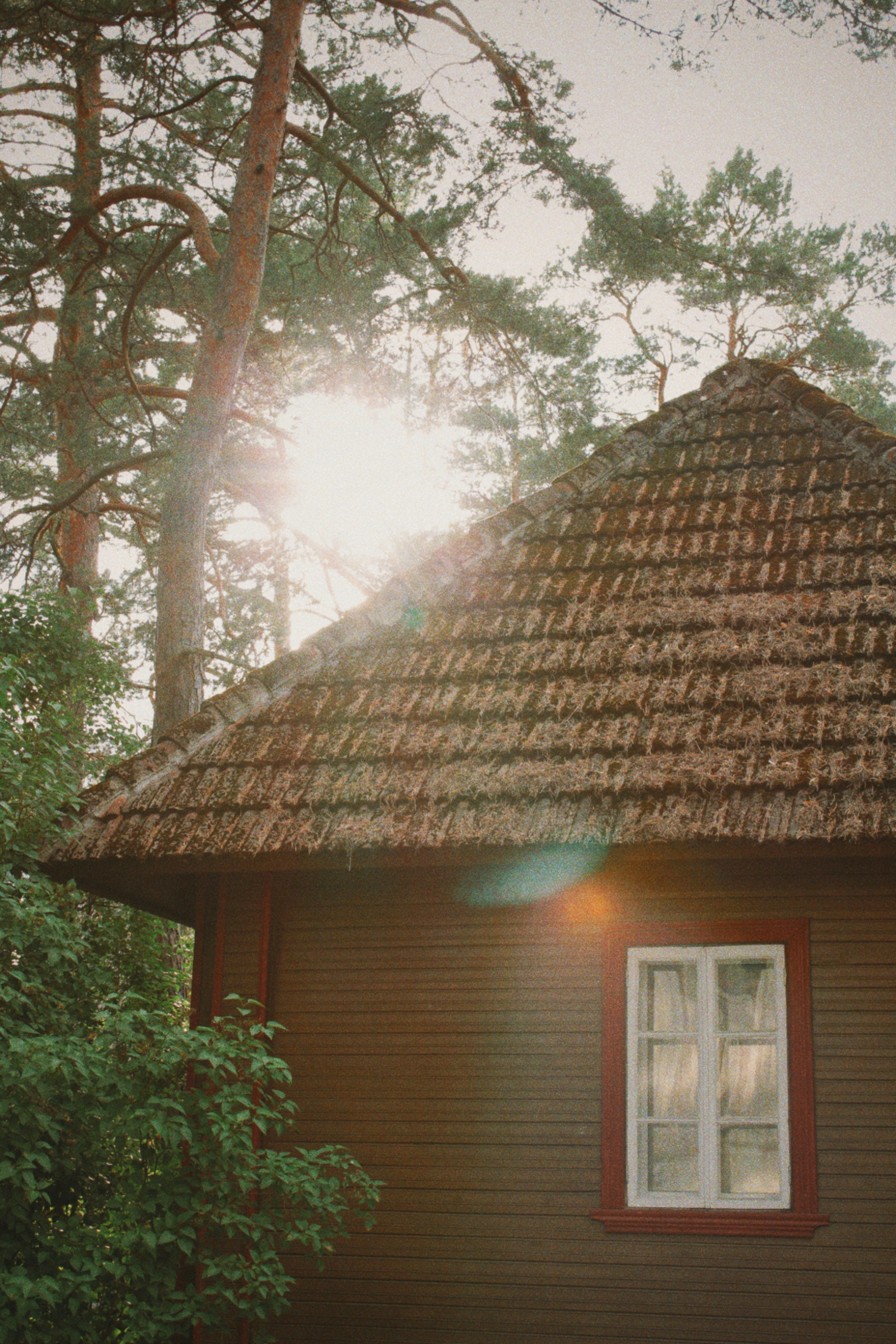 Photo by maximyuryshev