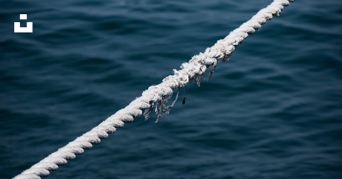 A white rope is in the middle of a body of water photo – Free Rope ...