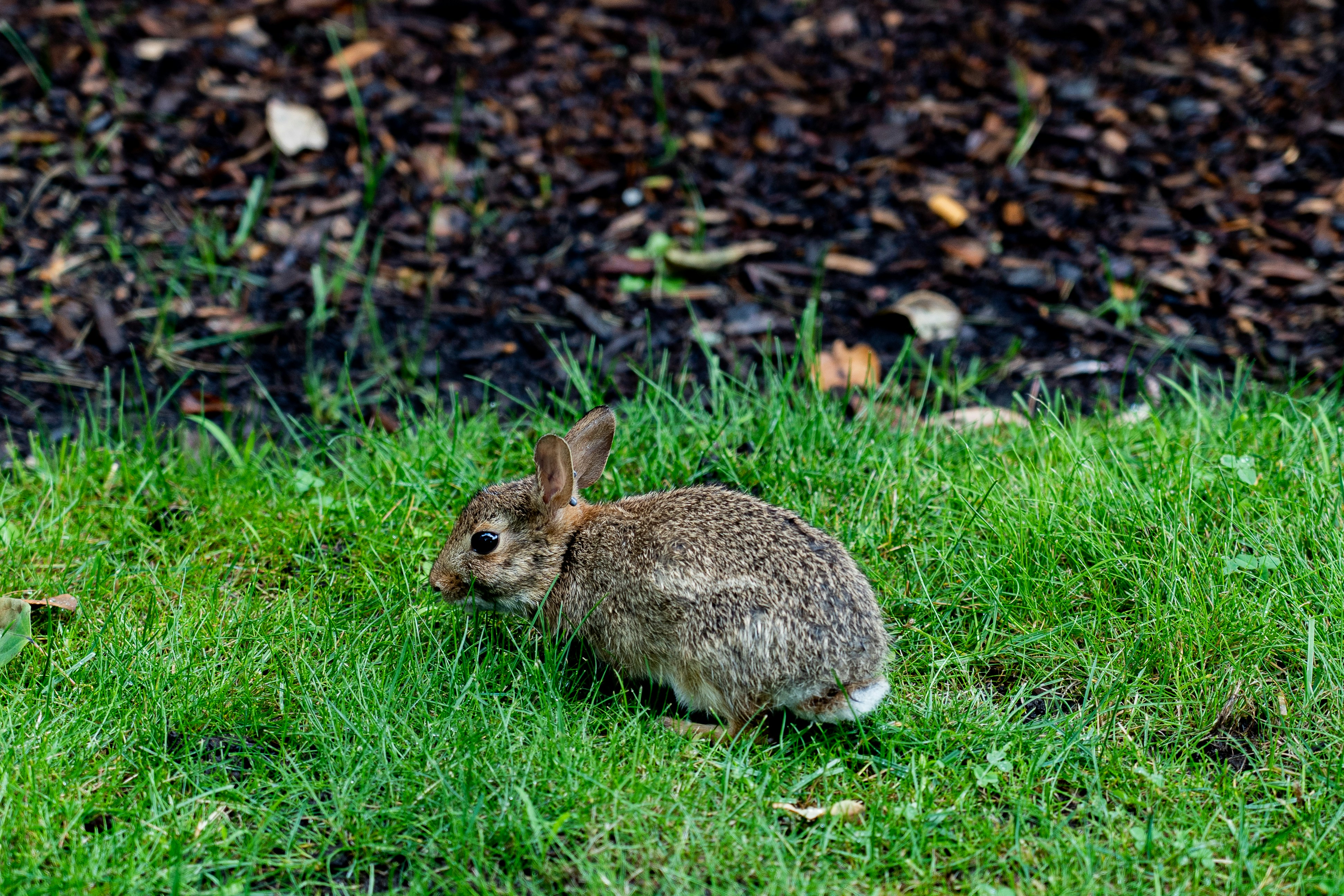 Photo by abhinav1bhardwaj