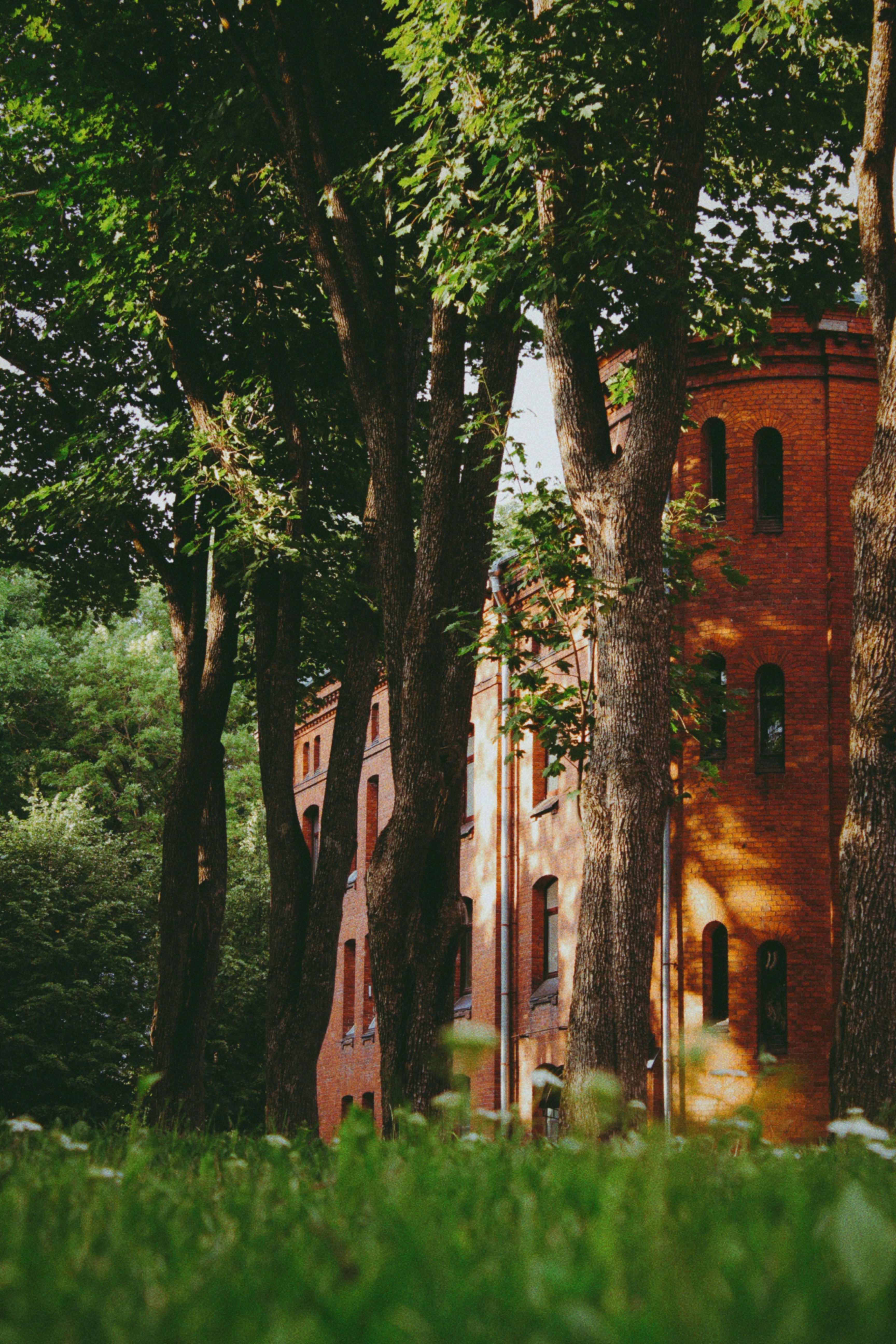 Photo by maximyuryshev