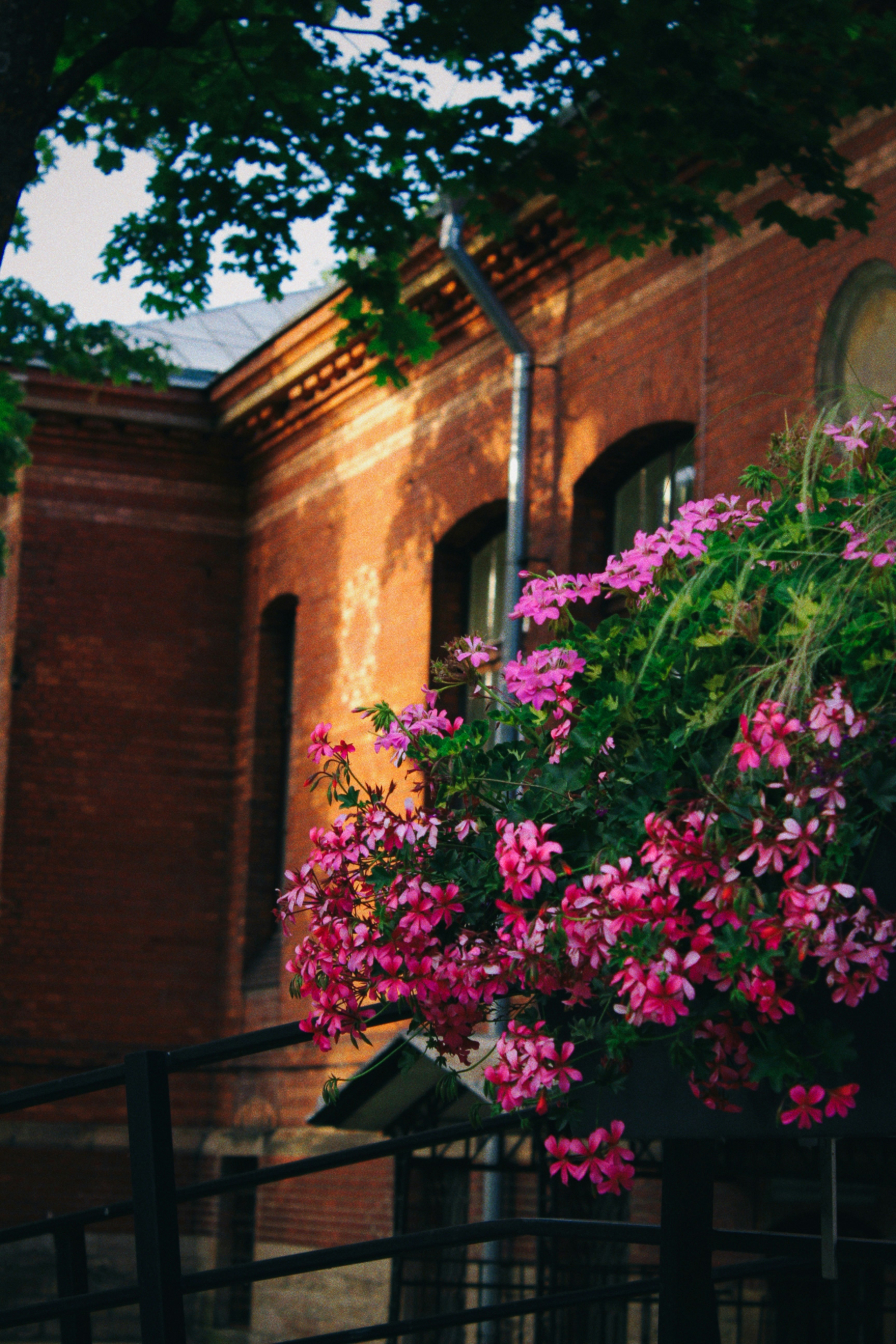 Photo by maximyuryshev