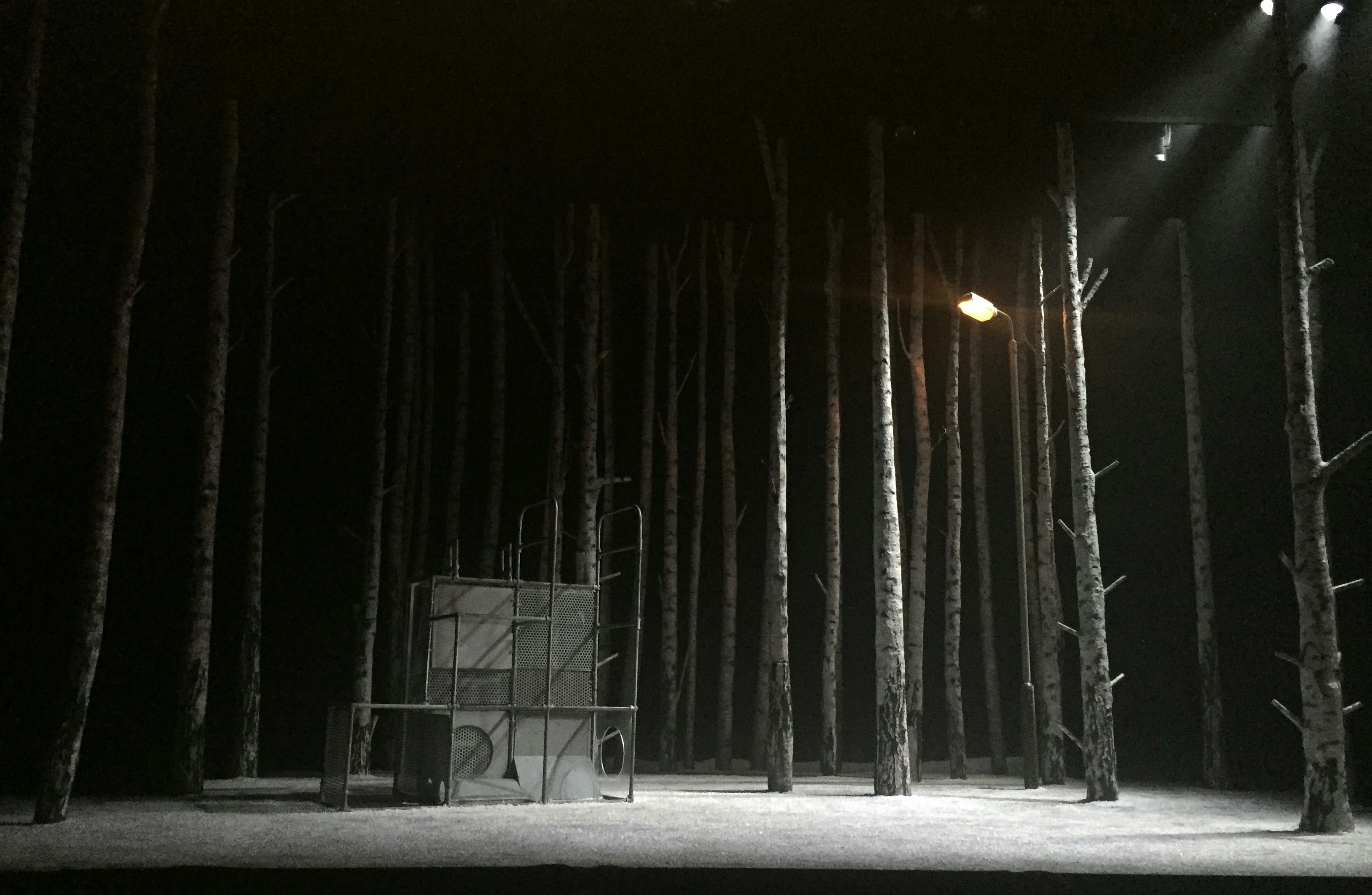 A dark forest with beams of light filtering through the trees