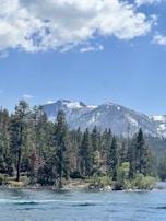 A scenic view of a mountain lake surrounded by pine trees.