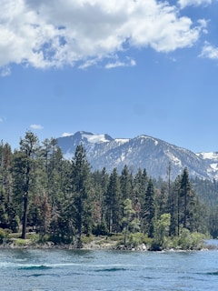 A scenic view of a mountain lake surrounded by pine trees.