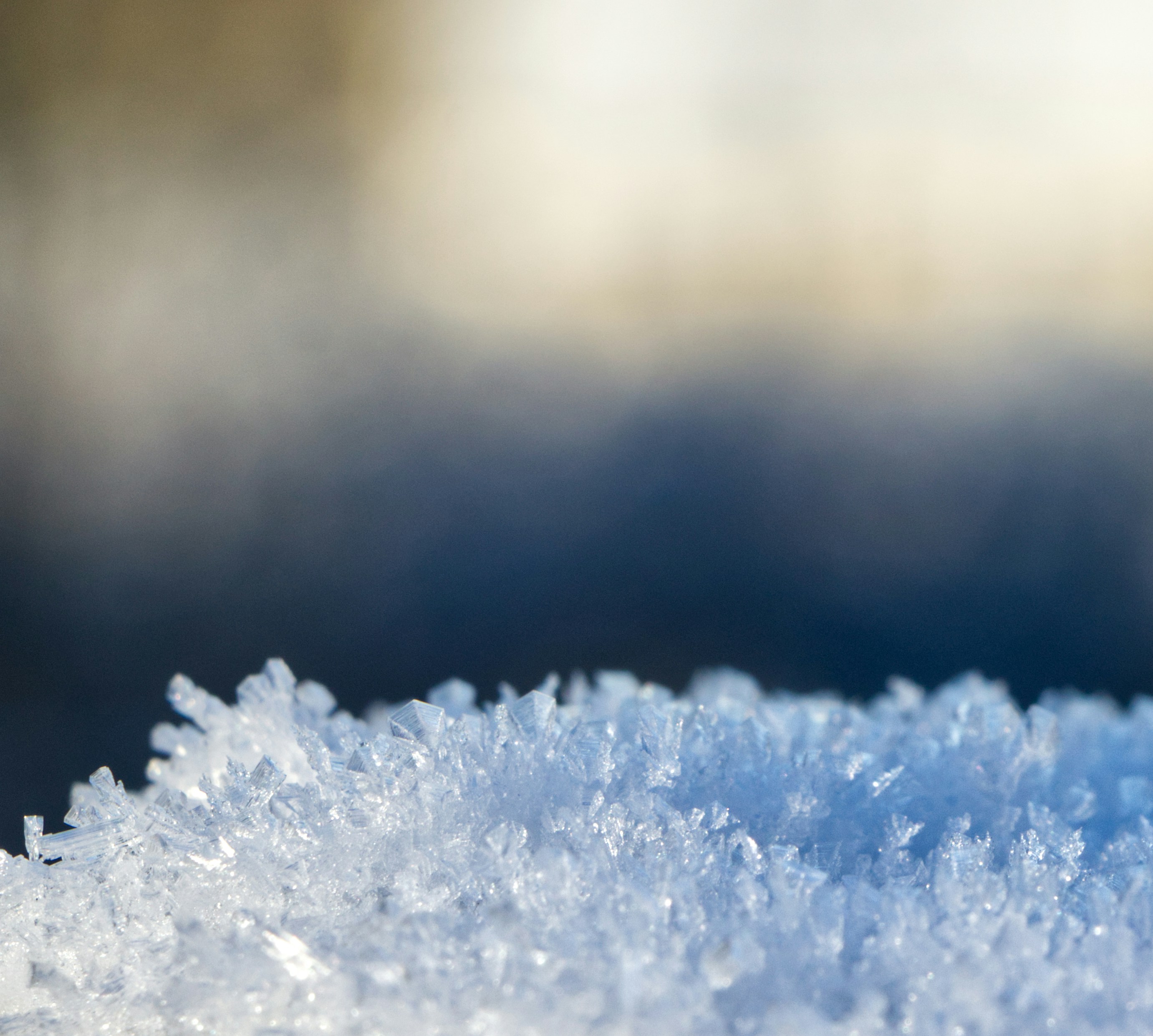 Photo by frejasaurbrey