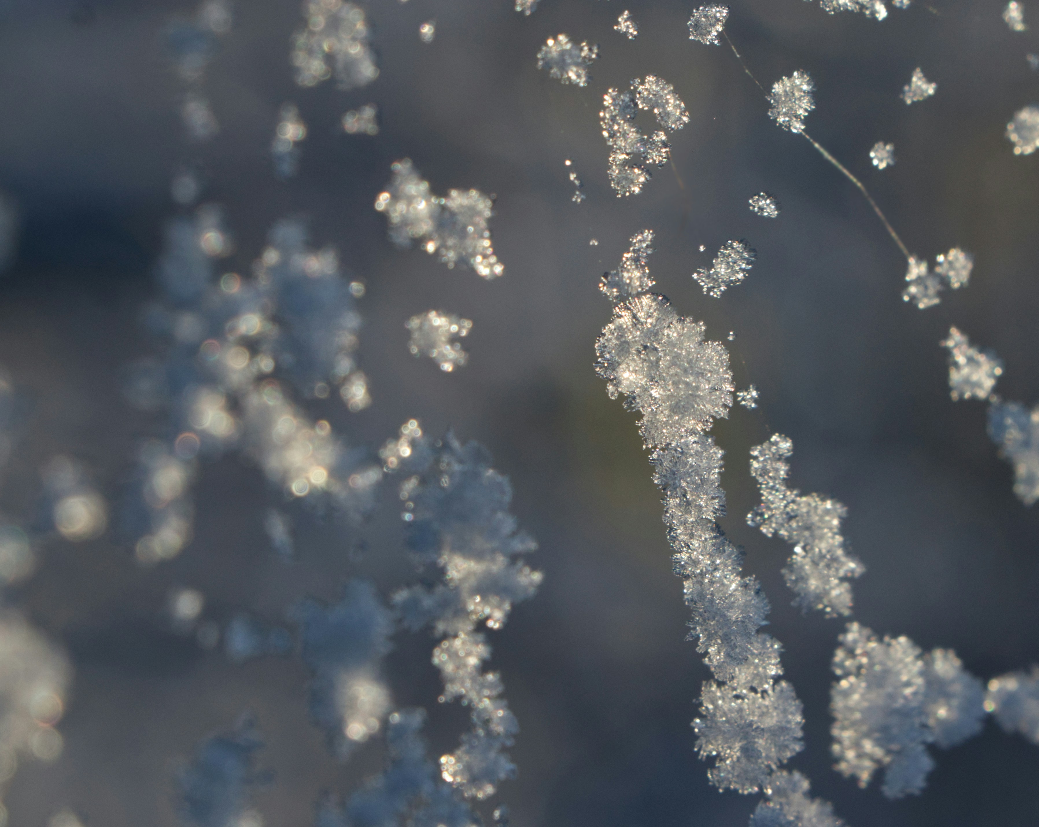 Photo by frejasaurbrey