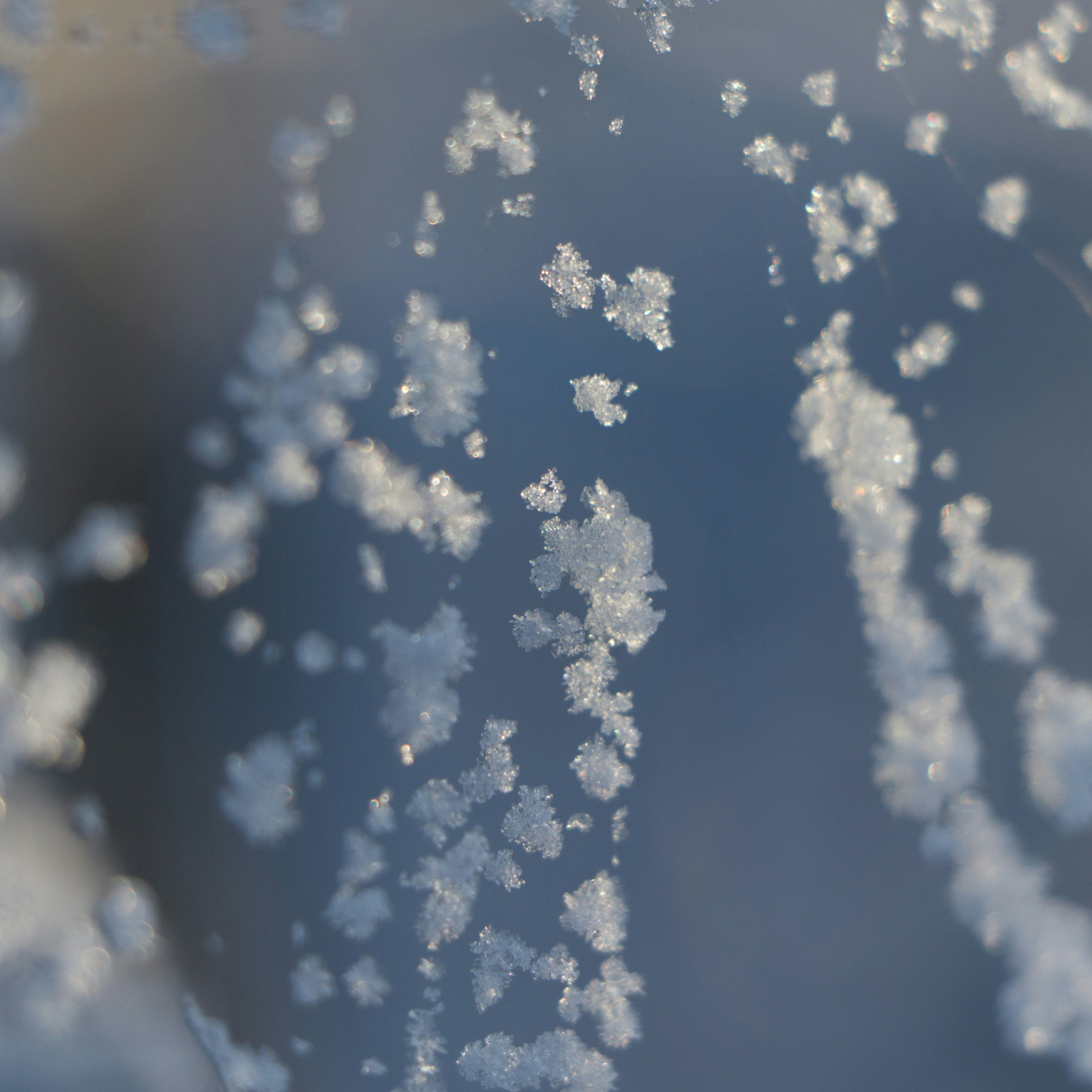 Photo by frejasaurbrey