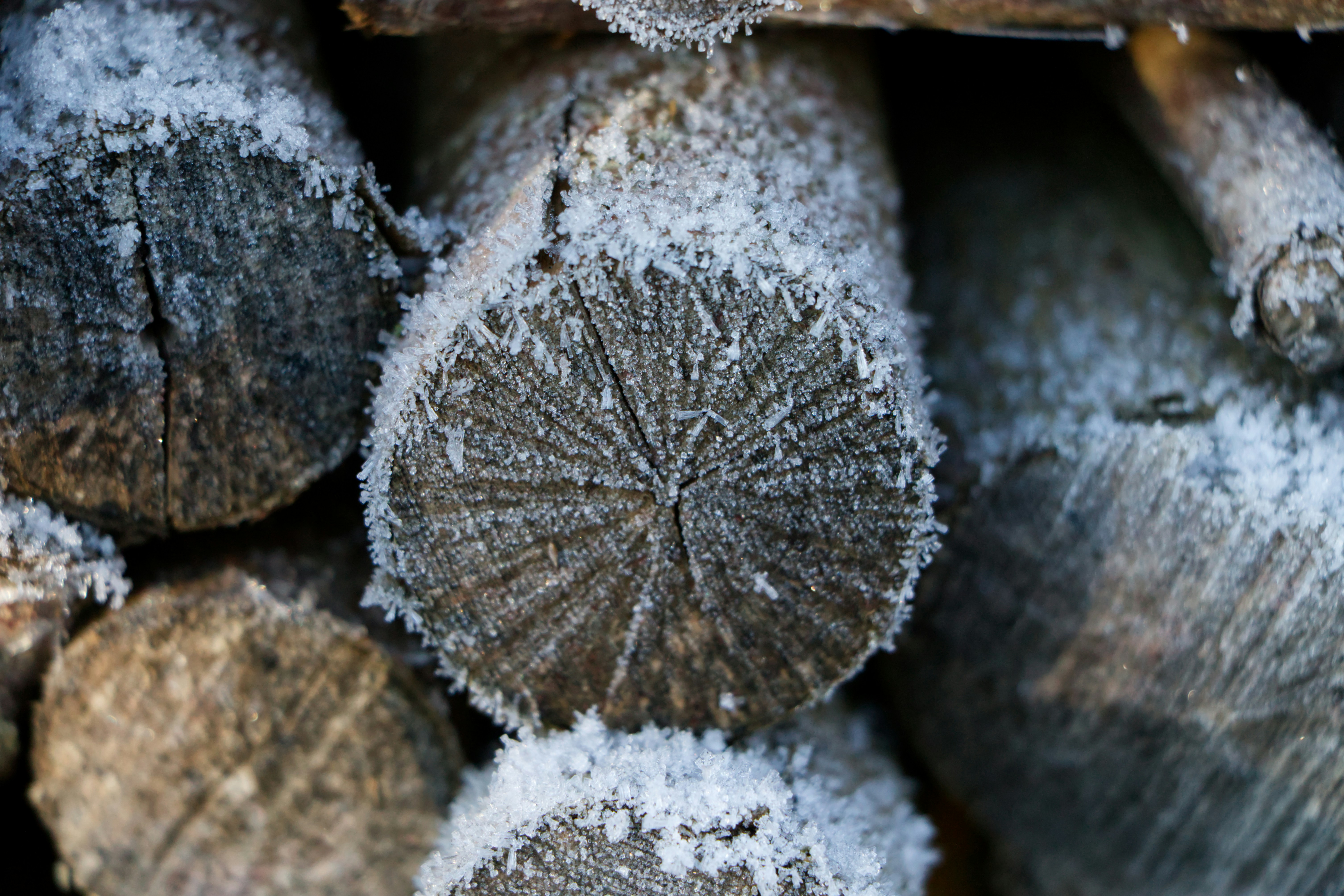a pile of wood with frost on it