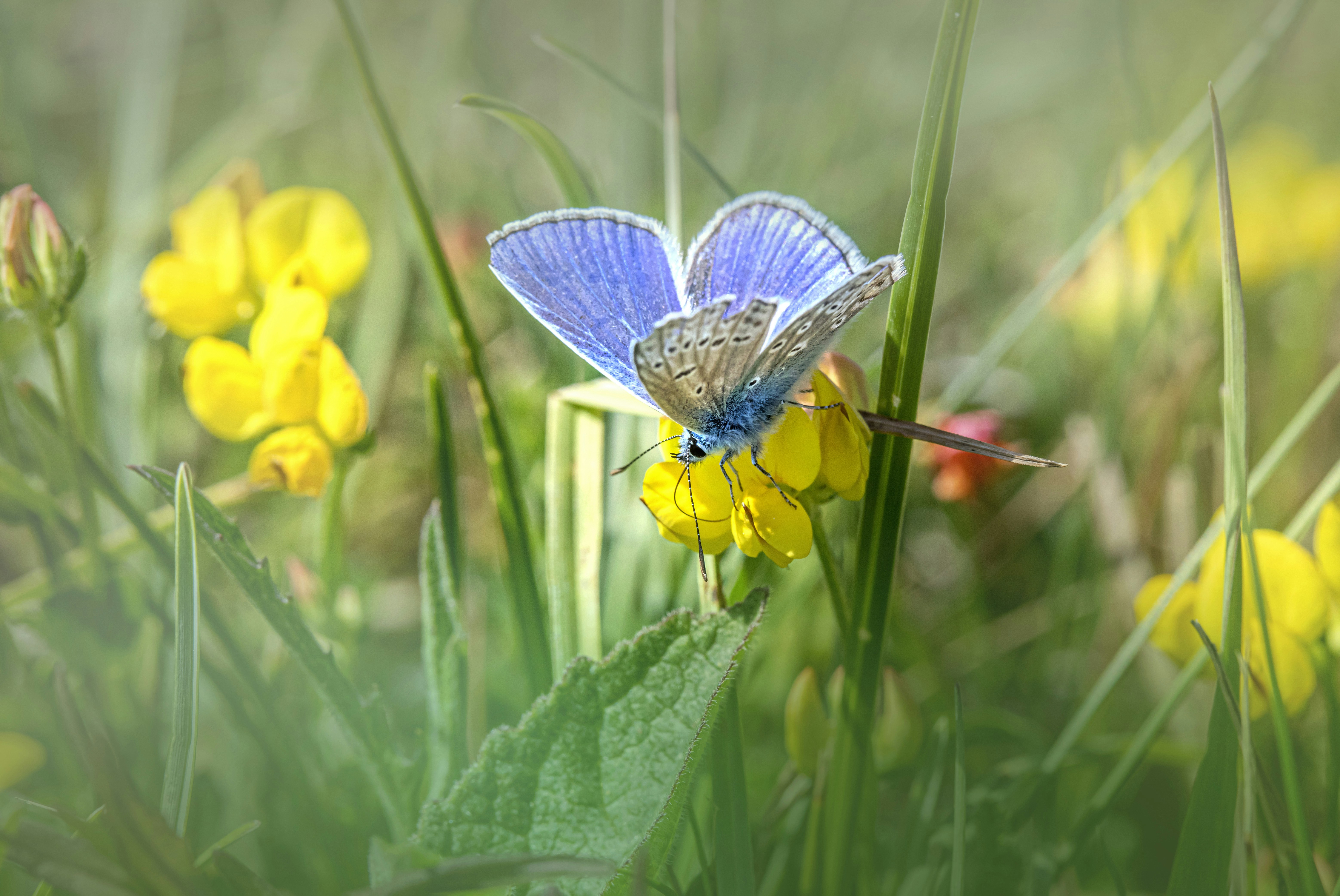 Photo by erik_karits