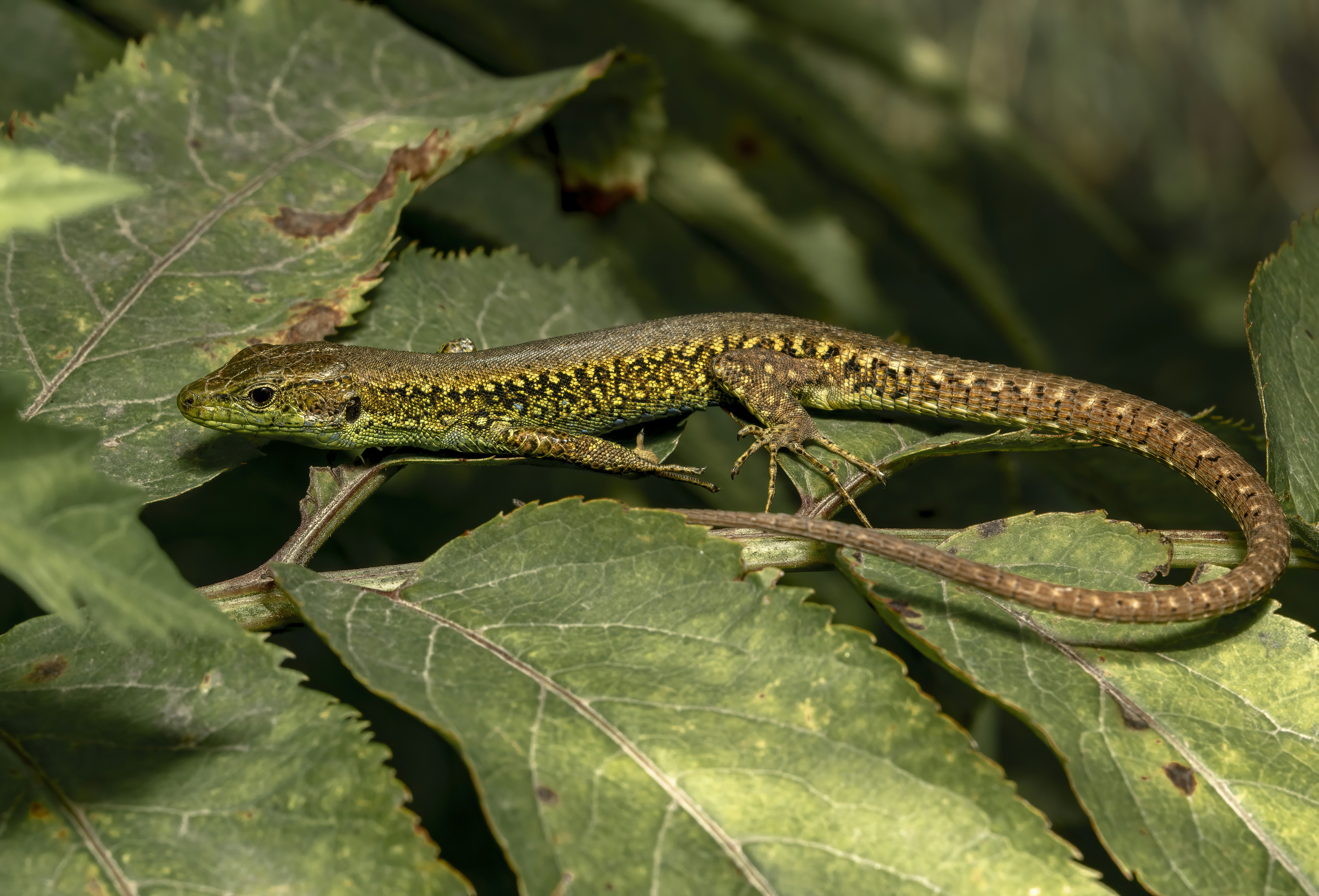 Photo by akbarnemati