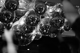 A collection of disco balls hangs from the ceiling, reflecting light in a multitude of directions. The intricate patterns on the ceiling complement the mirrored surfaces of the disco balls, creating a dynamic and festive atmosphere.
