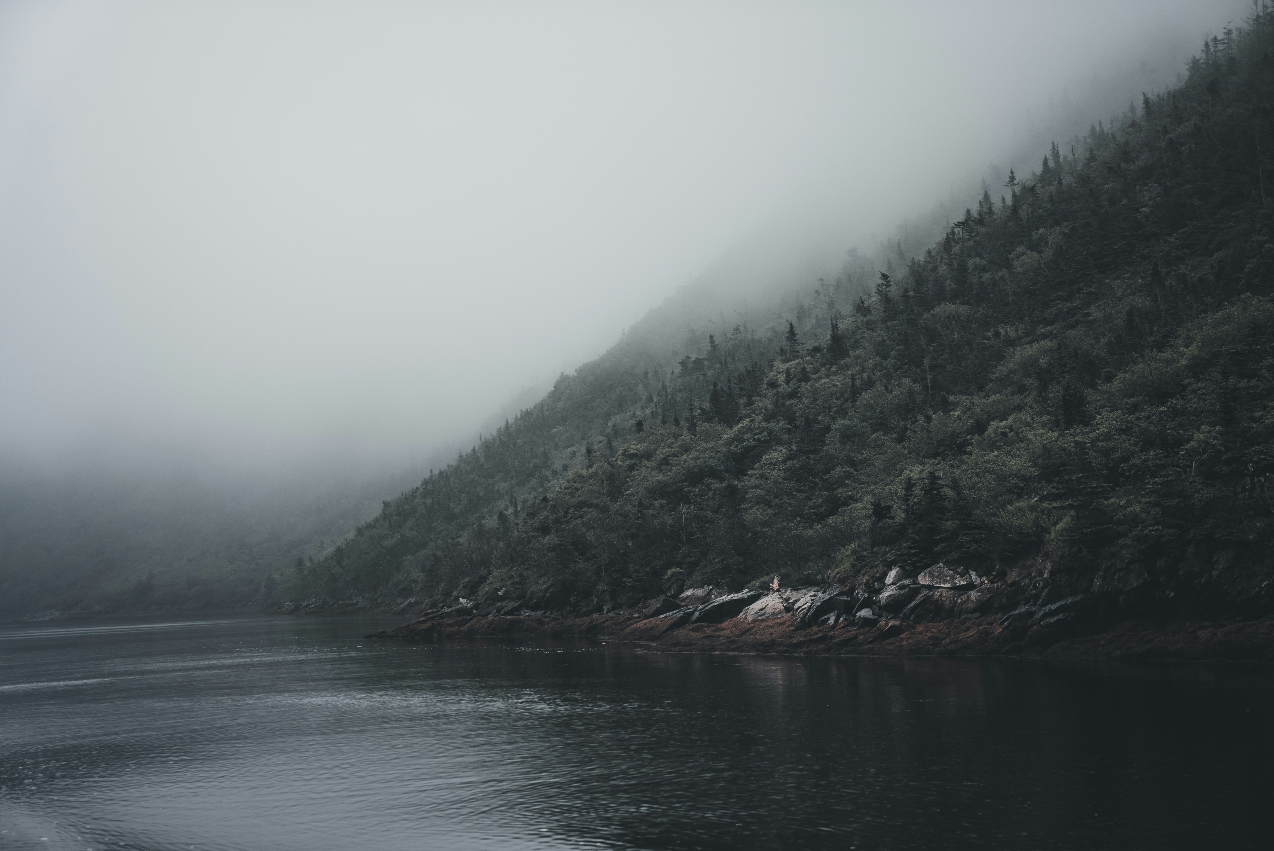 Photo by introspectivedsgn