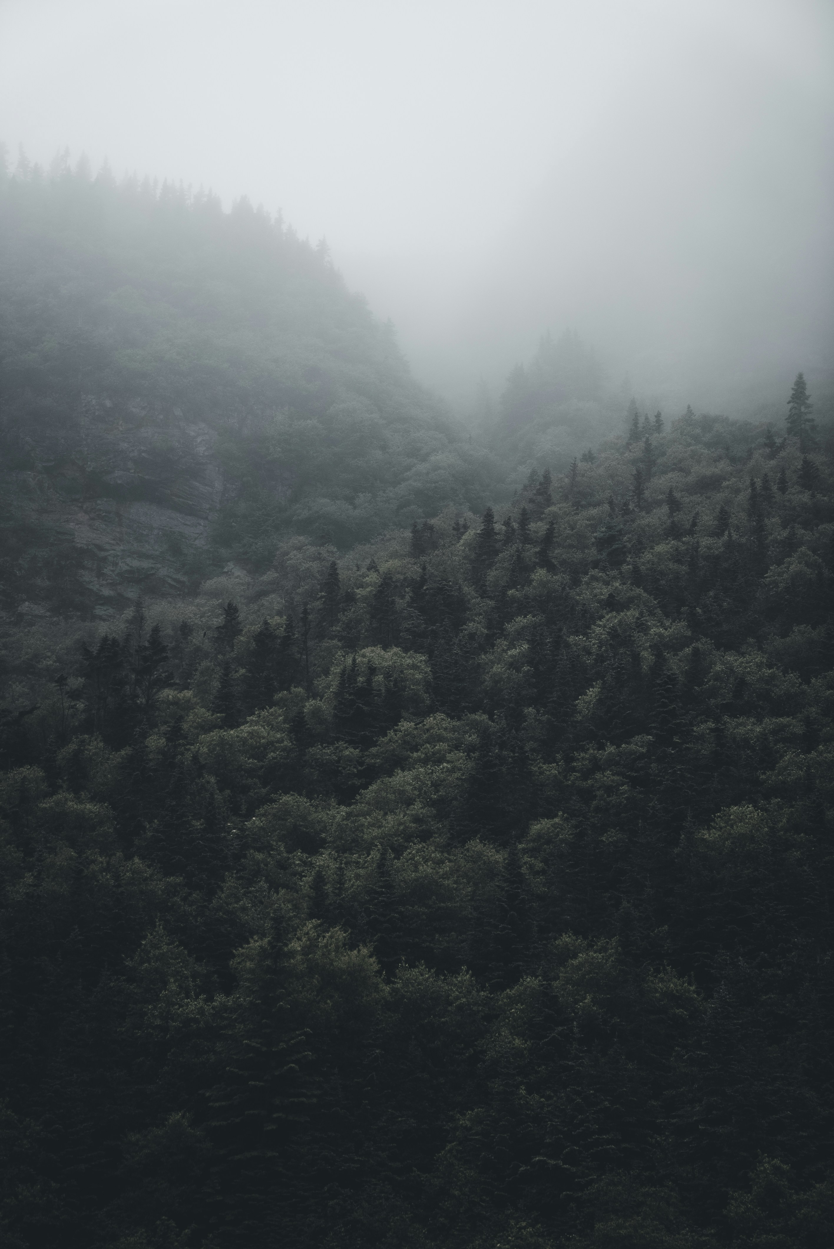 Photo by introspectivedsgn