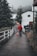 A person is walking a small dog along a narrow pathway lined with white fencing. The path is flanked by lush greenery and tall trees. In the background, misty weather envelops a residential area with white houses, creating a serene and calm atmosphere.