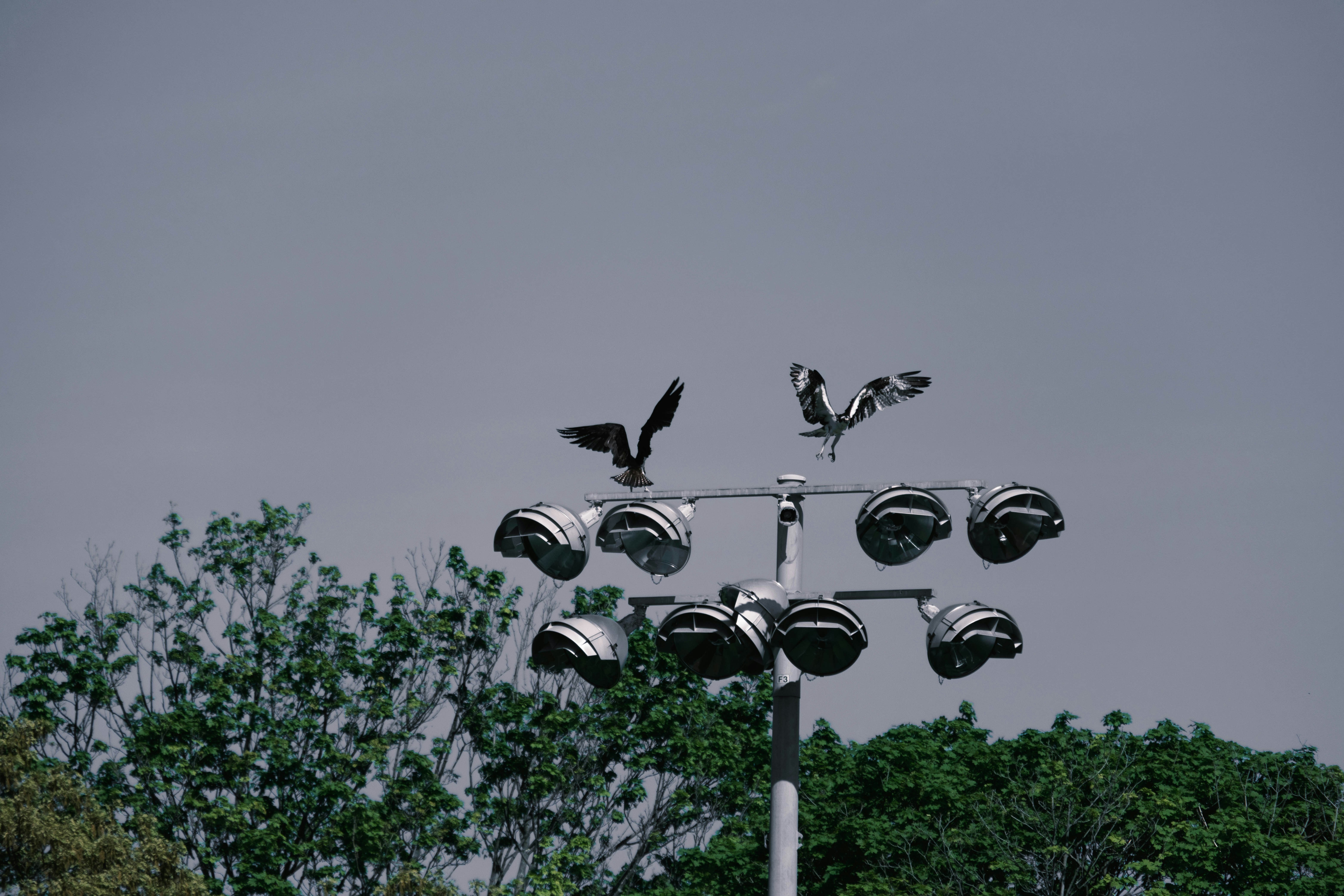 Photo by eec_