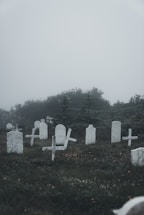 A misty graveyard with several white headstones and crosses scattered across the grassy area. The background features dense fog and a line of trees, creating a mysterious and somber atmosphere.