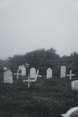 A misty graveyard with several white headstones and crosses scattered across the grassy area. The background features dense fog and a line of trees, creating a mysterious and somber atmosphere.