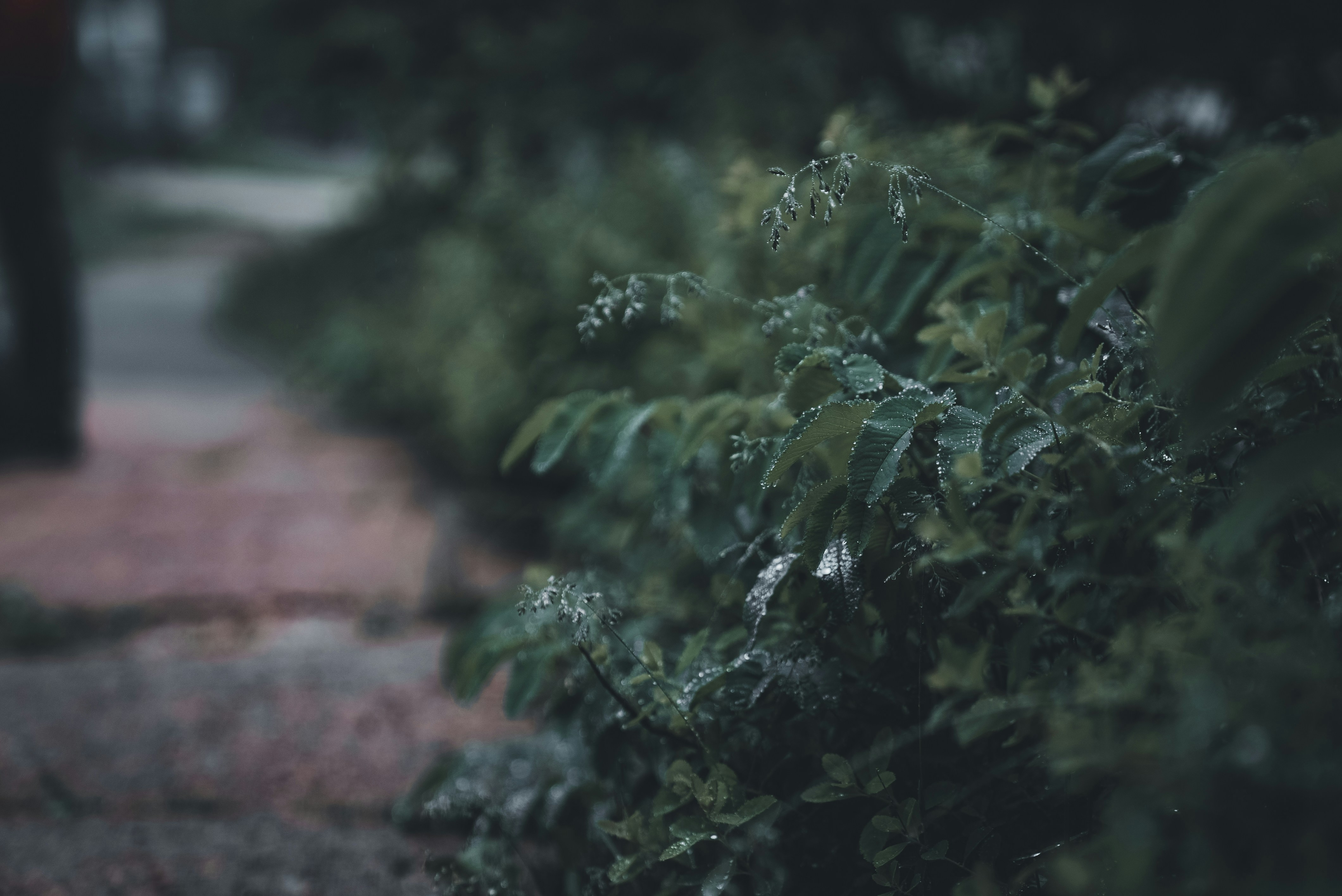 Photo by introspectivedsgn