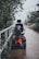 A close-up of a mobility scooter parked near a scenic waterfront view.