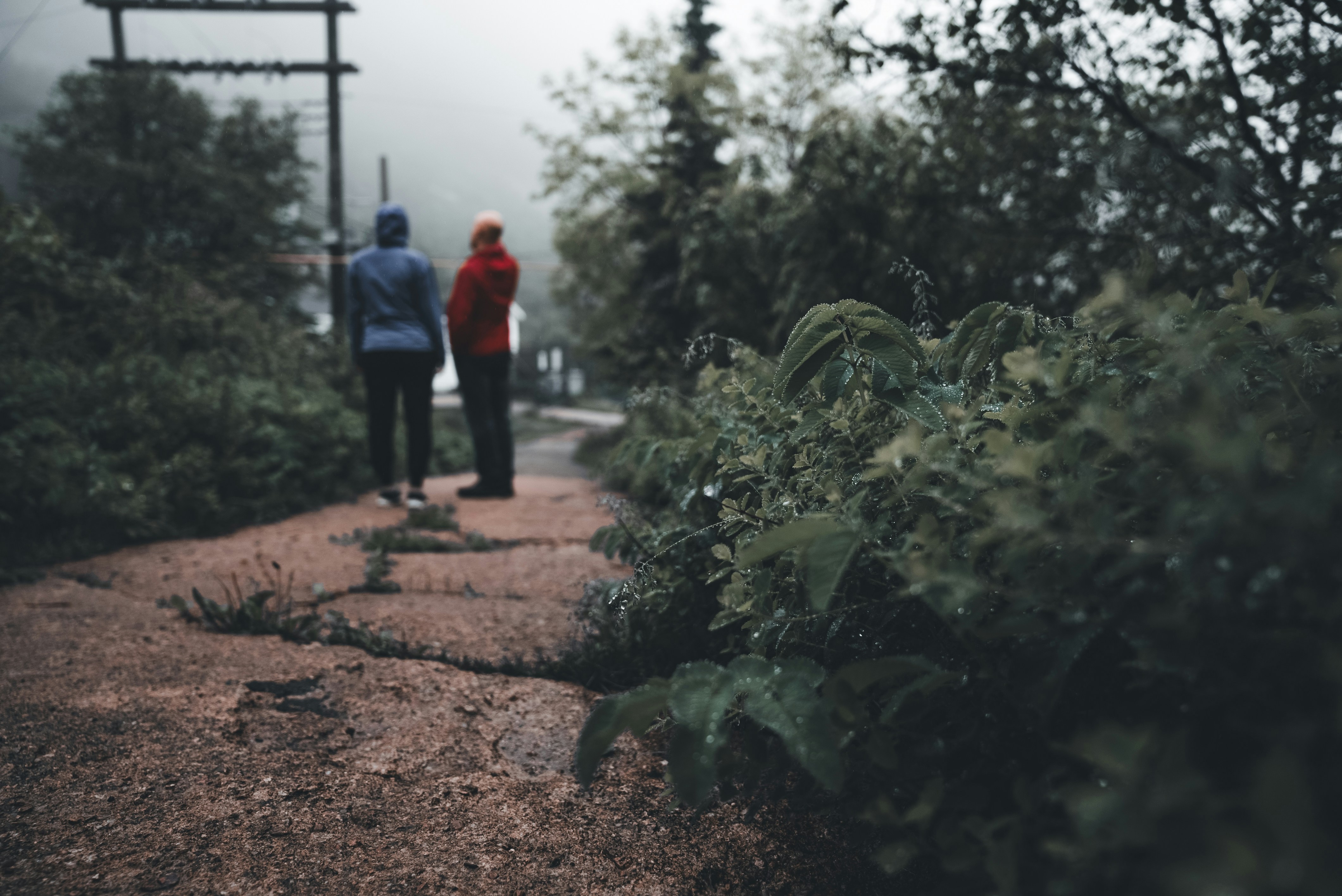 Photo by introspectivedsgn