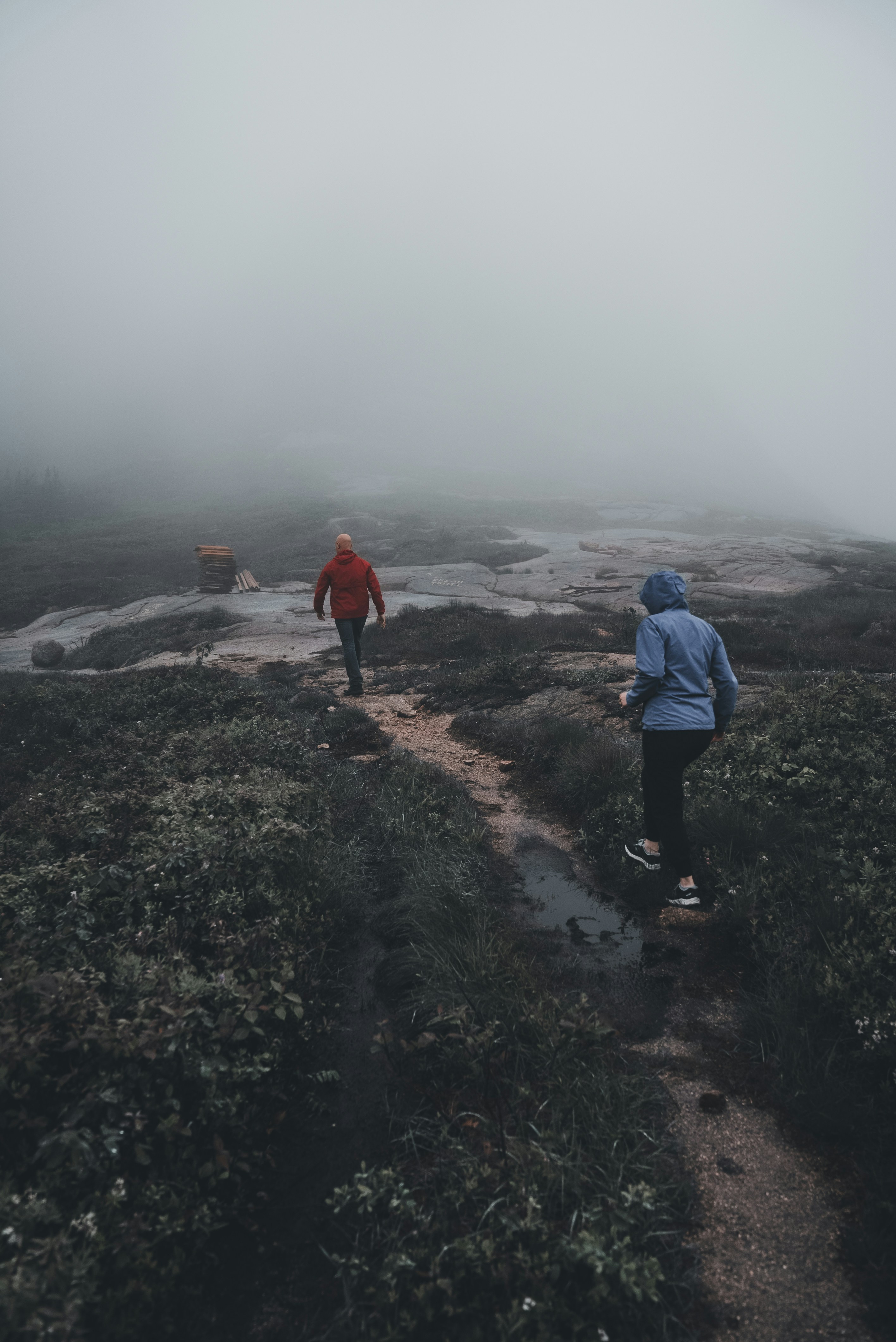 Photo by introspectivedsgn