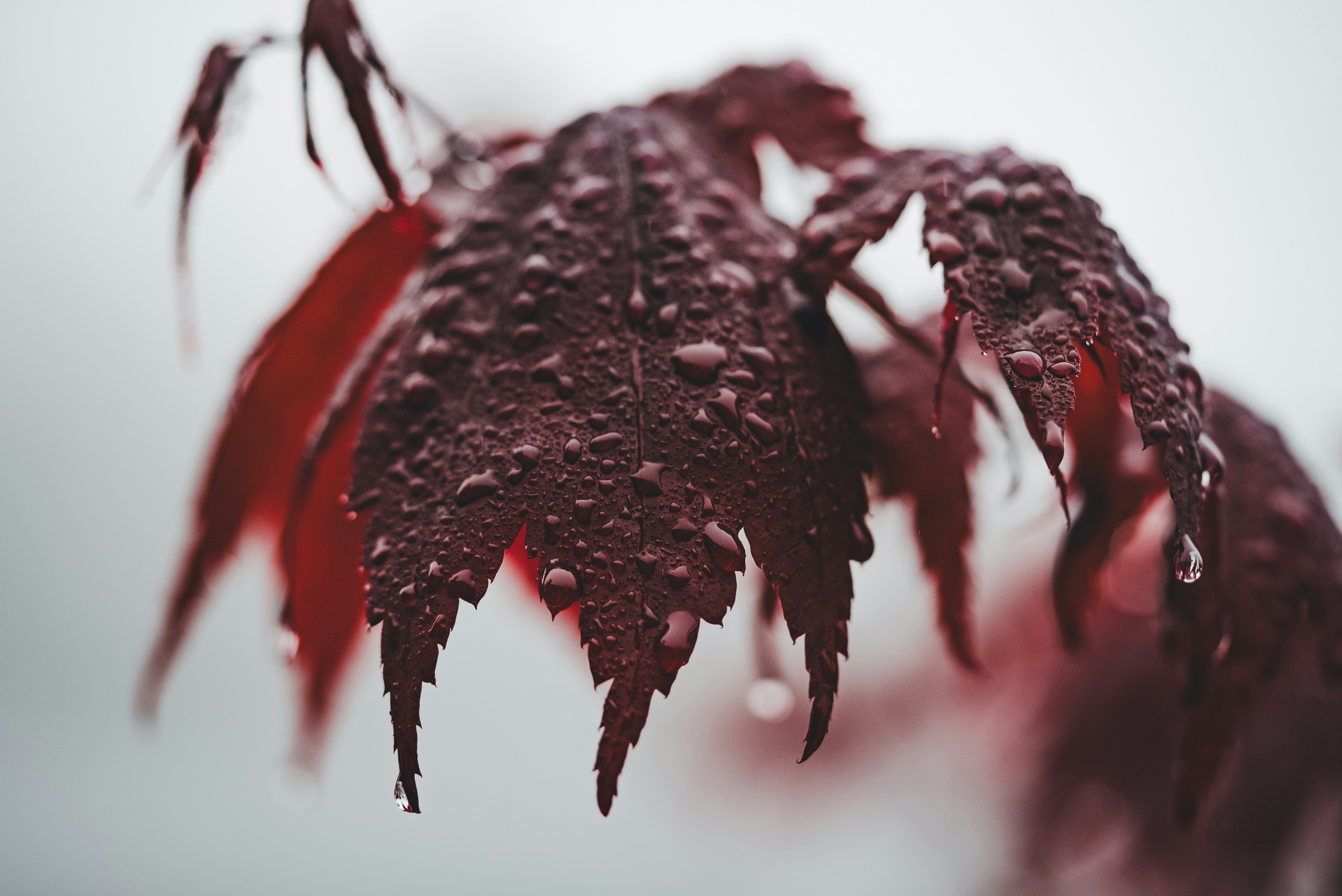 Photo by introspectivedsgn