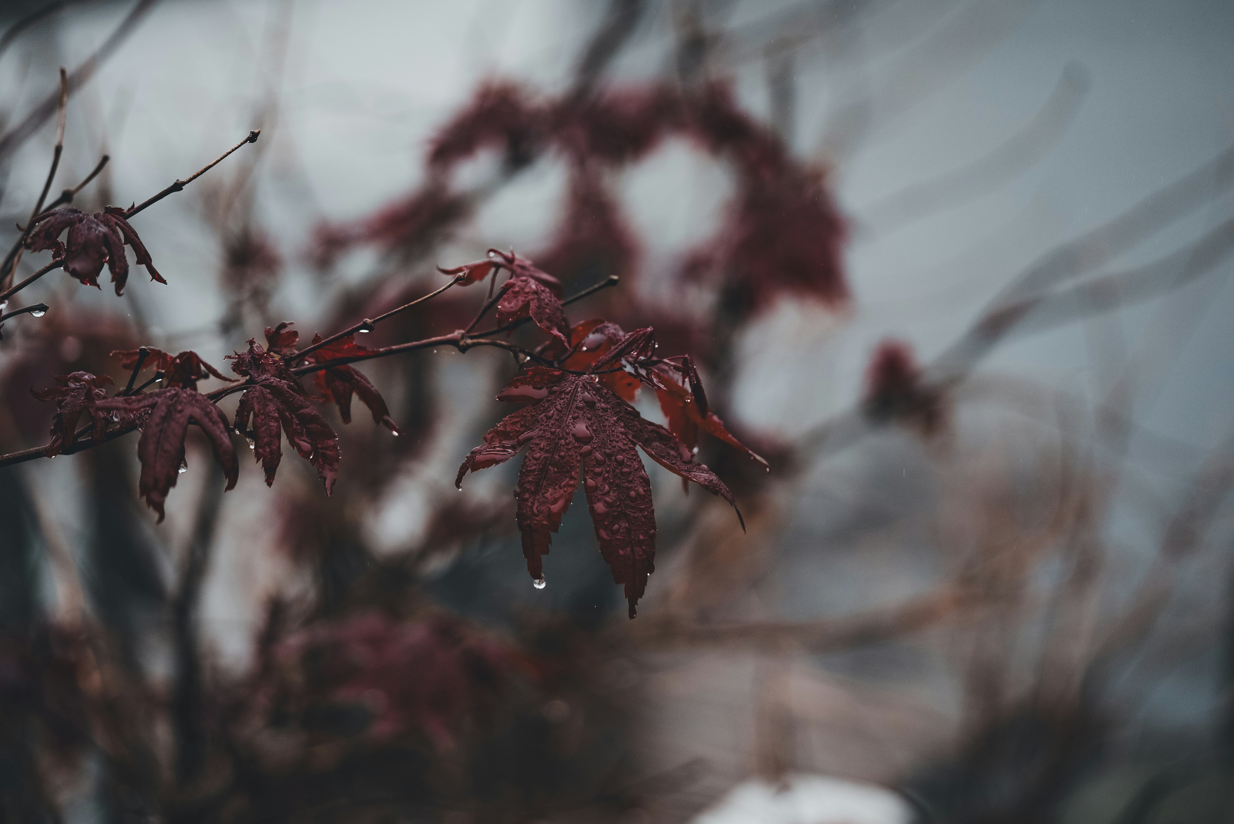 Photo by introspectivedsgn