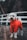 A fluffy white dog dressed in a bright red raincoat stands on a wet wooden deck. The background features a white railing, suggesting an outdoor setting, possibly in a park or garden.