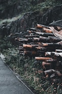 A pile of chopped logs is stacked neatly alongside a wet road. The surrounding area features lush green vegetation and a stone retaining wall. The scene is set in a damp, overcast environment, giving the wood a dark, moody appearance.