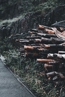 A pile of chopped logs is stacked neatly alongside a wet road. The surrounding area features lush green vegetation and a stone retaining wall. The scene is set in a damp, overcast environment, giving the wood a dark, moody appearance.
