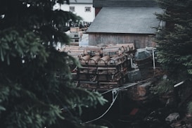 A stack of wooden lobster traps is tightly arranged near a rustic building. The scene is framed by dense evergreen trees, giving a secluded, maritime atmosphere. The traps are weathered, indicating frequent use, and there are ropes and other fishing-related equipment visible. The building has a wooden exterior and a shingled roof, suggesting a traditional fishing structure.