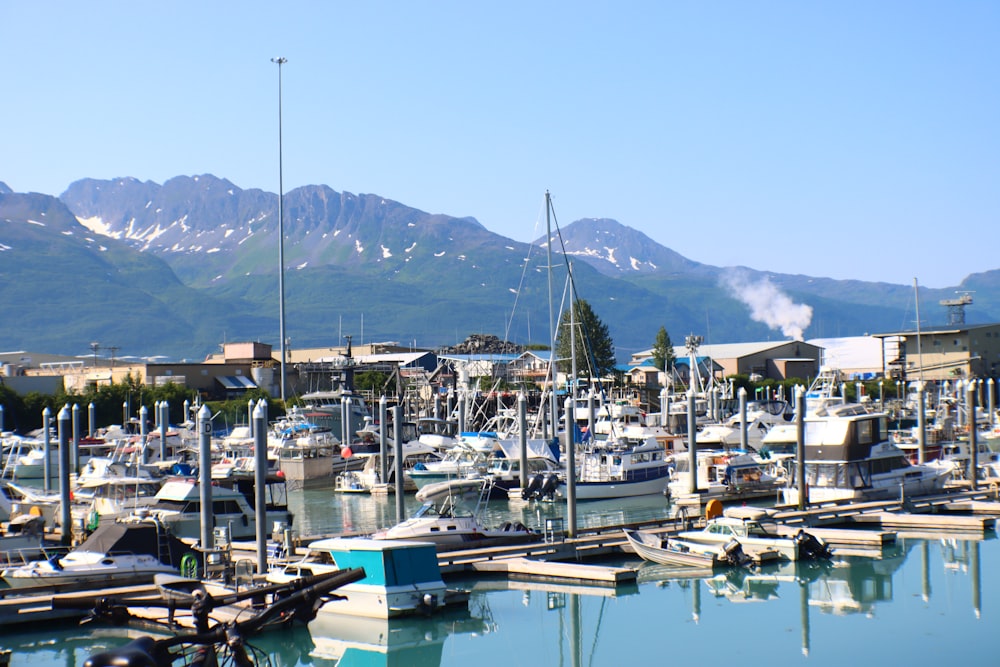 a marina with boats and mountains in the background