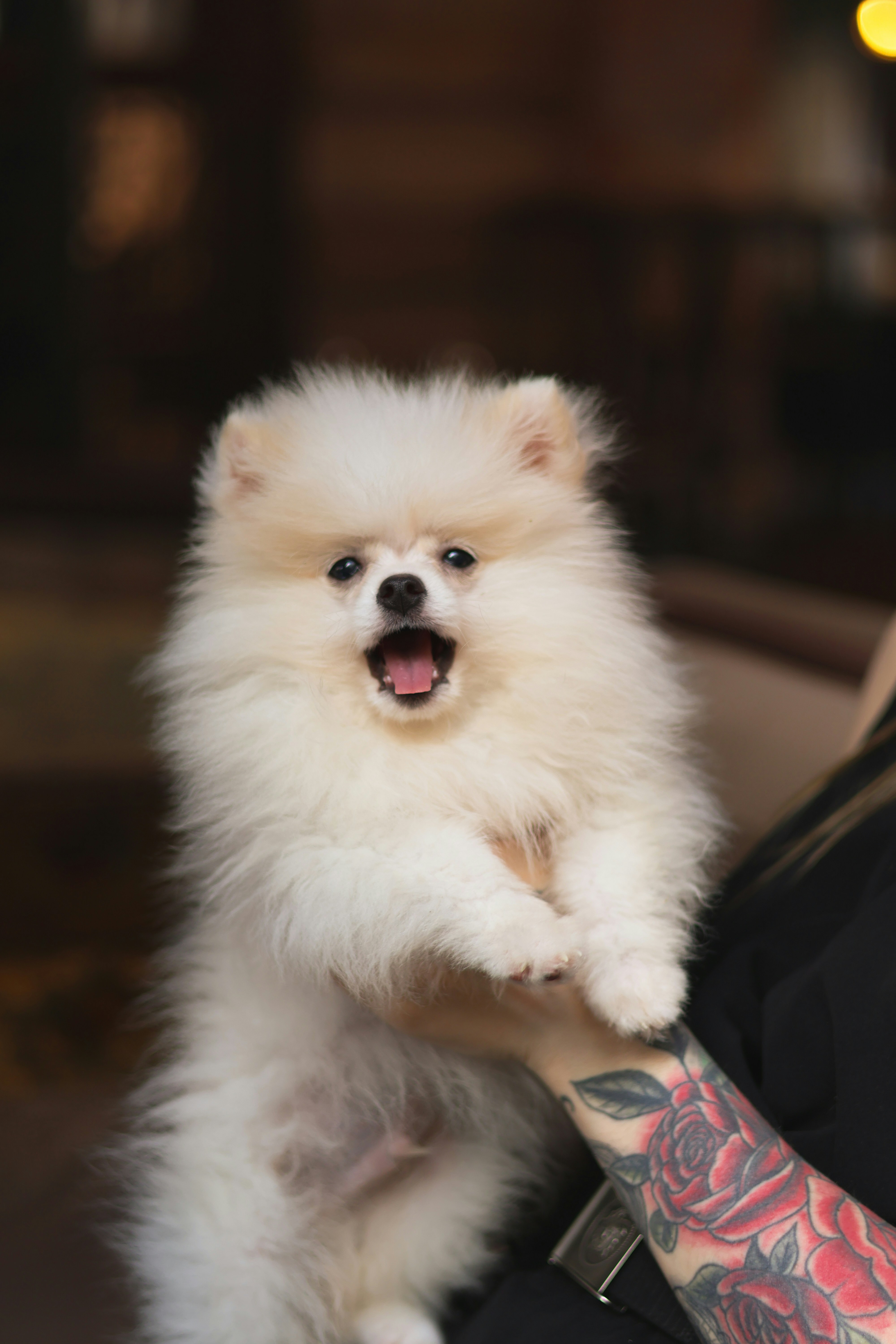 Photo by anyutakejbalo