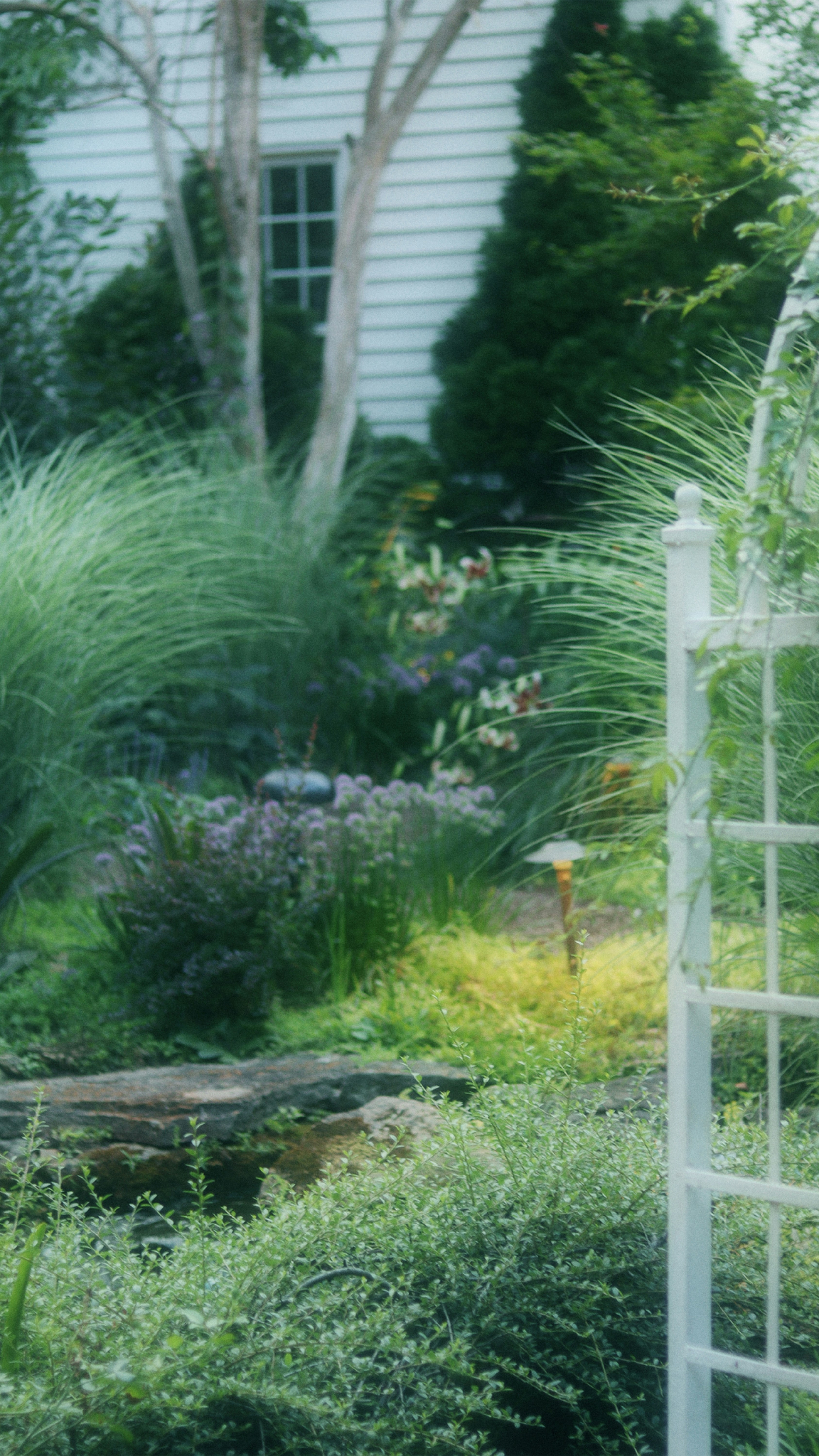 Photo by elijahbcrouch