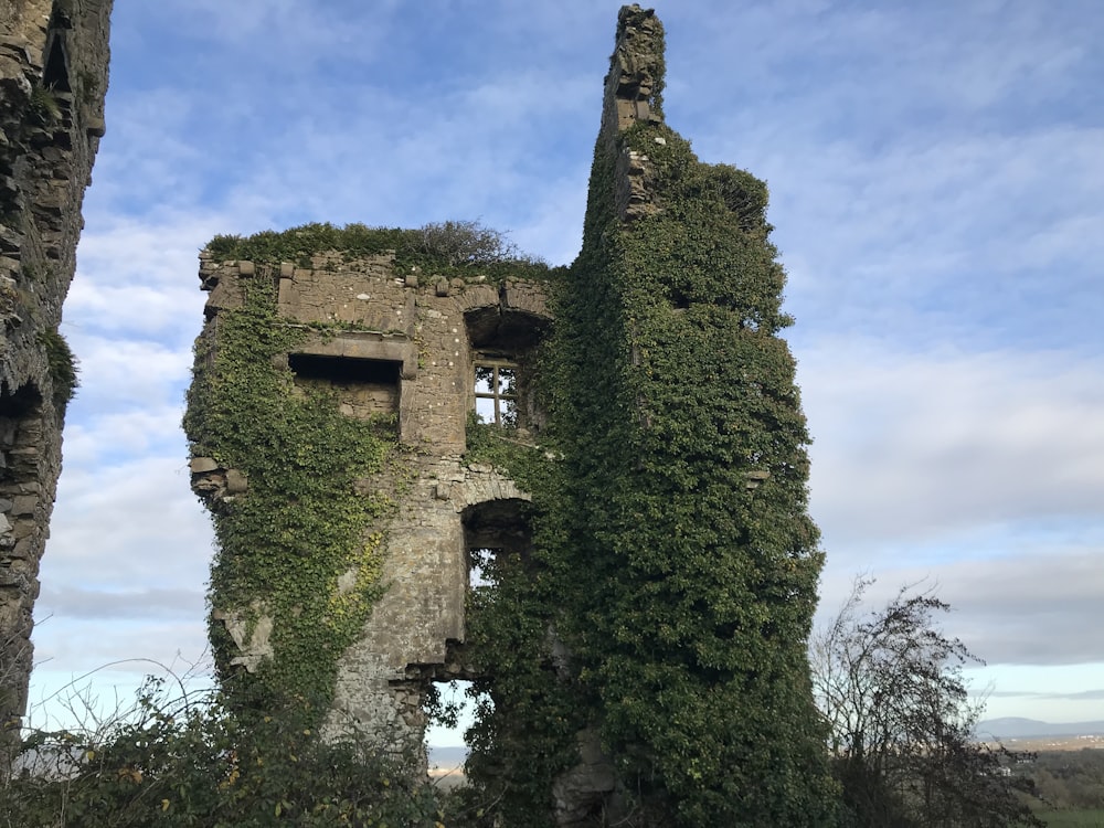 an old building with vines growing on it