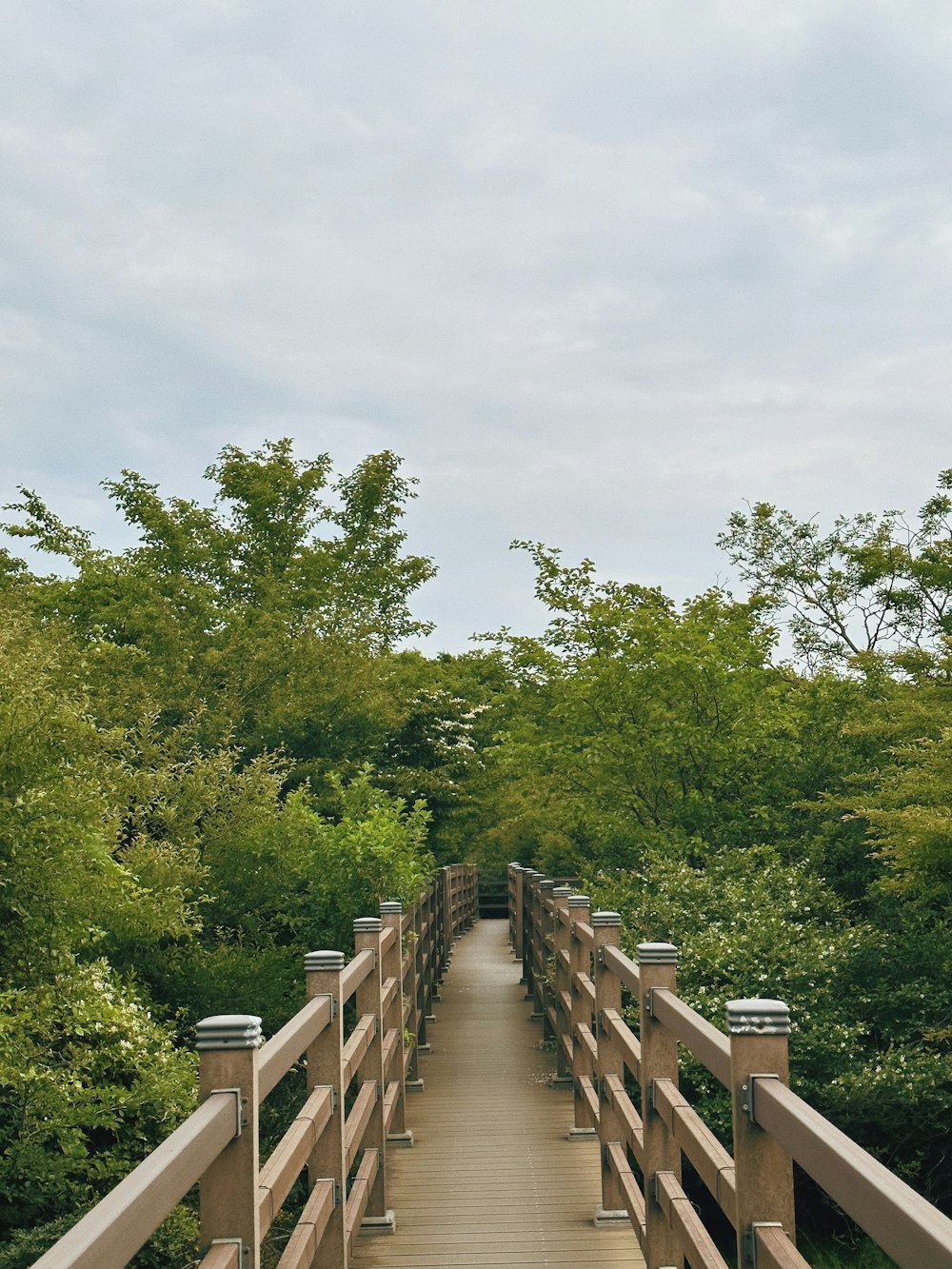 eine Holzbrücke über einen Fluss, umgeben von Bäumen