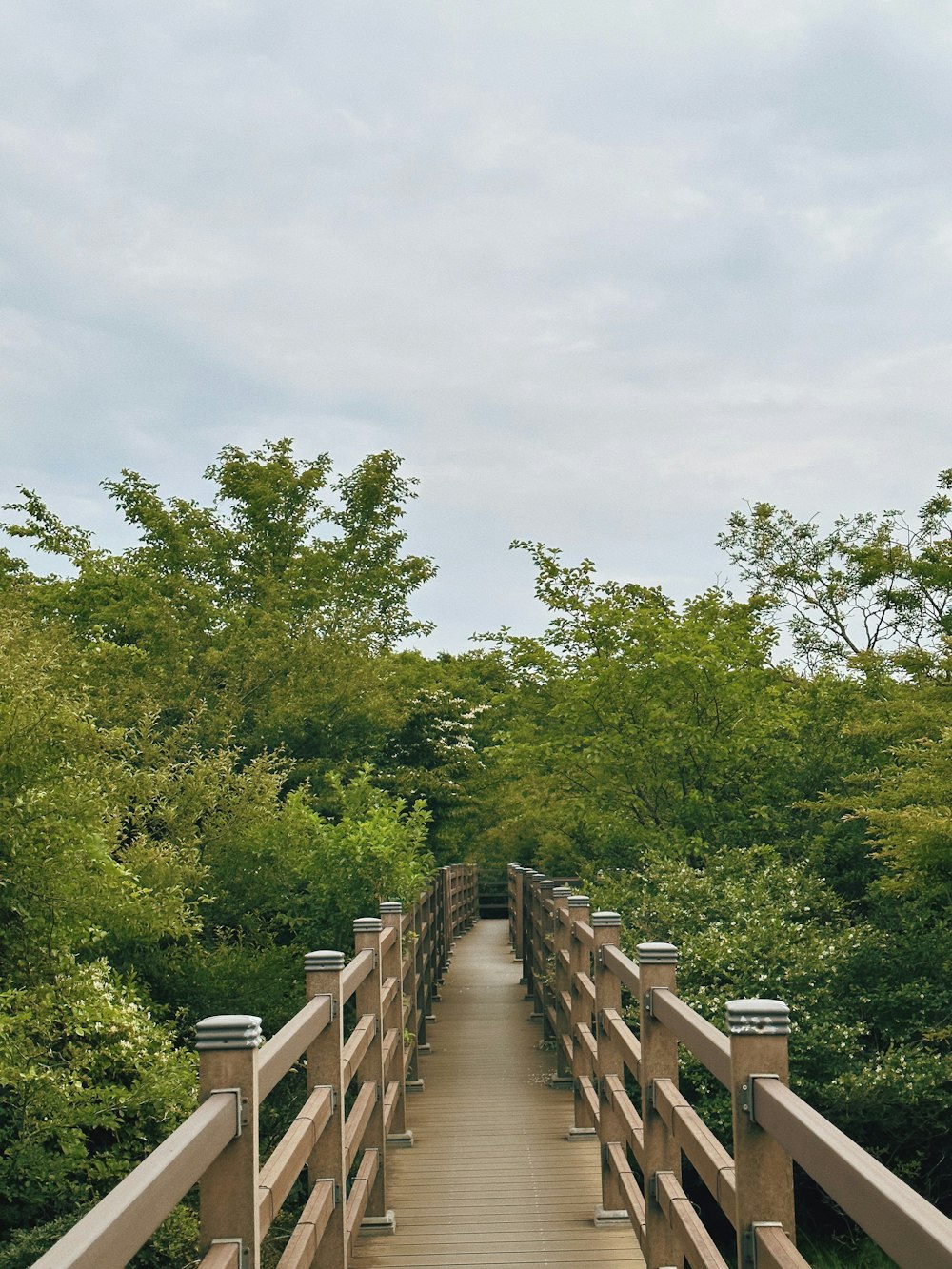 a wooden bridge over a river surrounded by trees